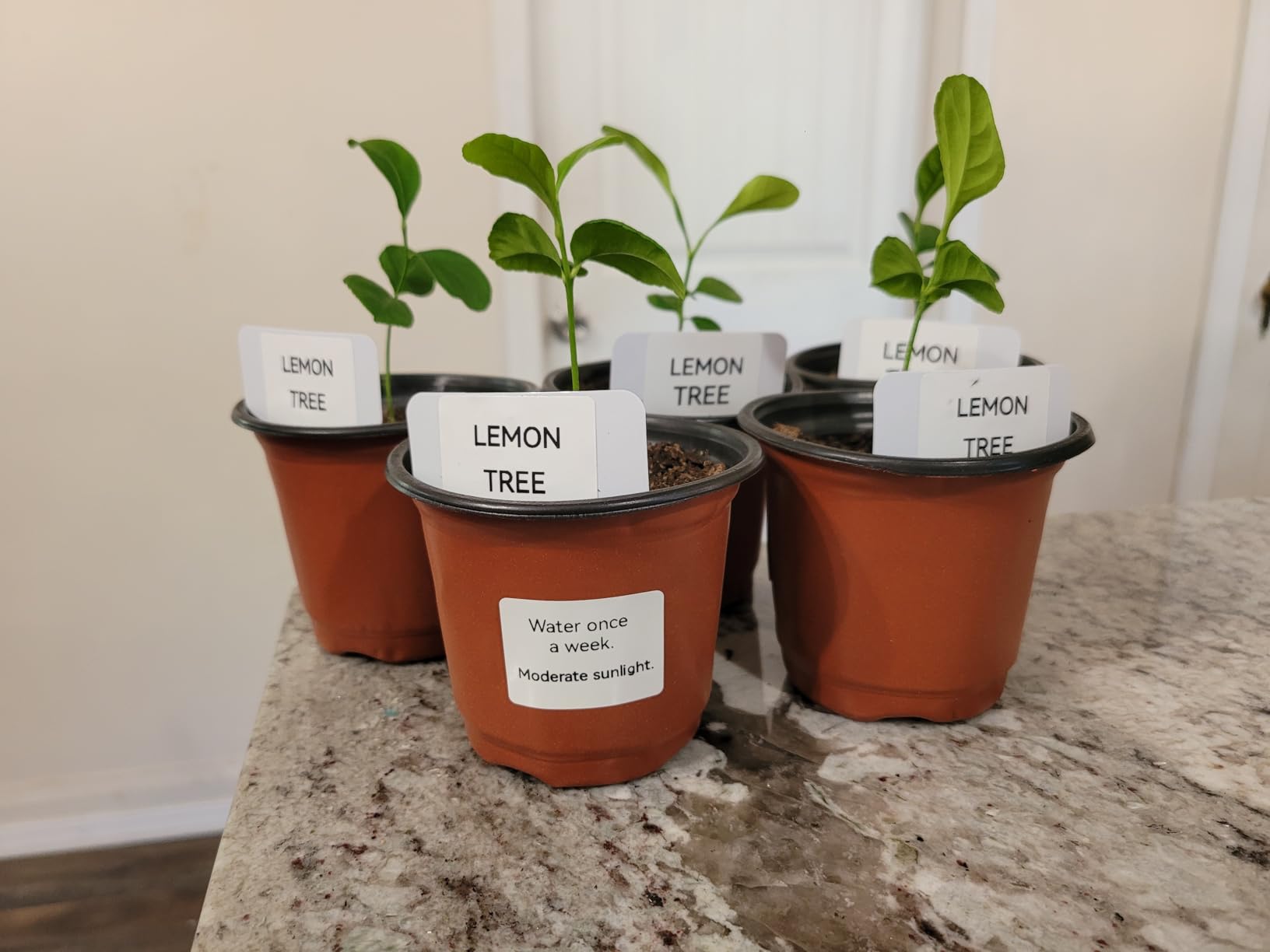 SUPVAN T50M Pro Bluetooth Label Maker Machine with Tape, Wide Waterproof Label, Versatile App with 40 Fonts and 650+ Icons, Inkless Labeler for Home, Kitchen, School, Office Organization, Black - Customer Photo 1