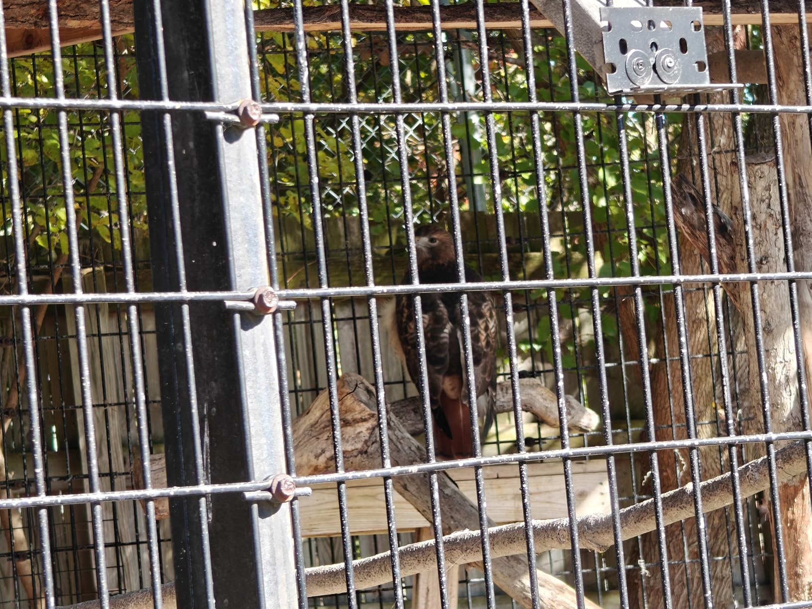 OnePlus 12 Unlocked Android Phone — Snapdragon 8 Gen 3 Phone w/ 16GB RAM, Hasselblad Camera, Dual SIM, 2K 120Hz ProXDR Display, 5400mAh Battery, SUPERVOOC Charging, OxygenOS (512GB, Flowy Emerald) - Customer Photo 1