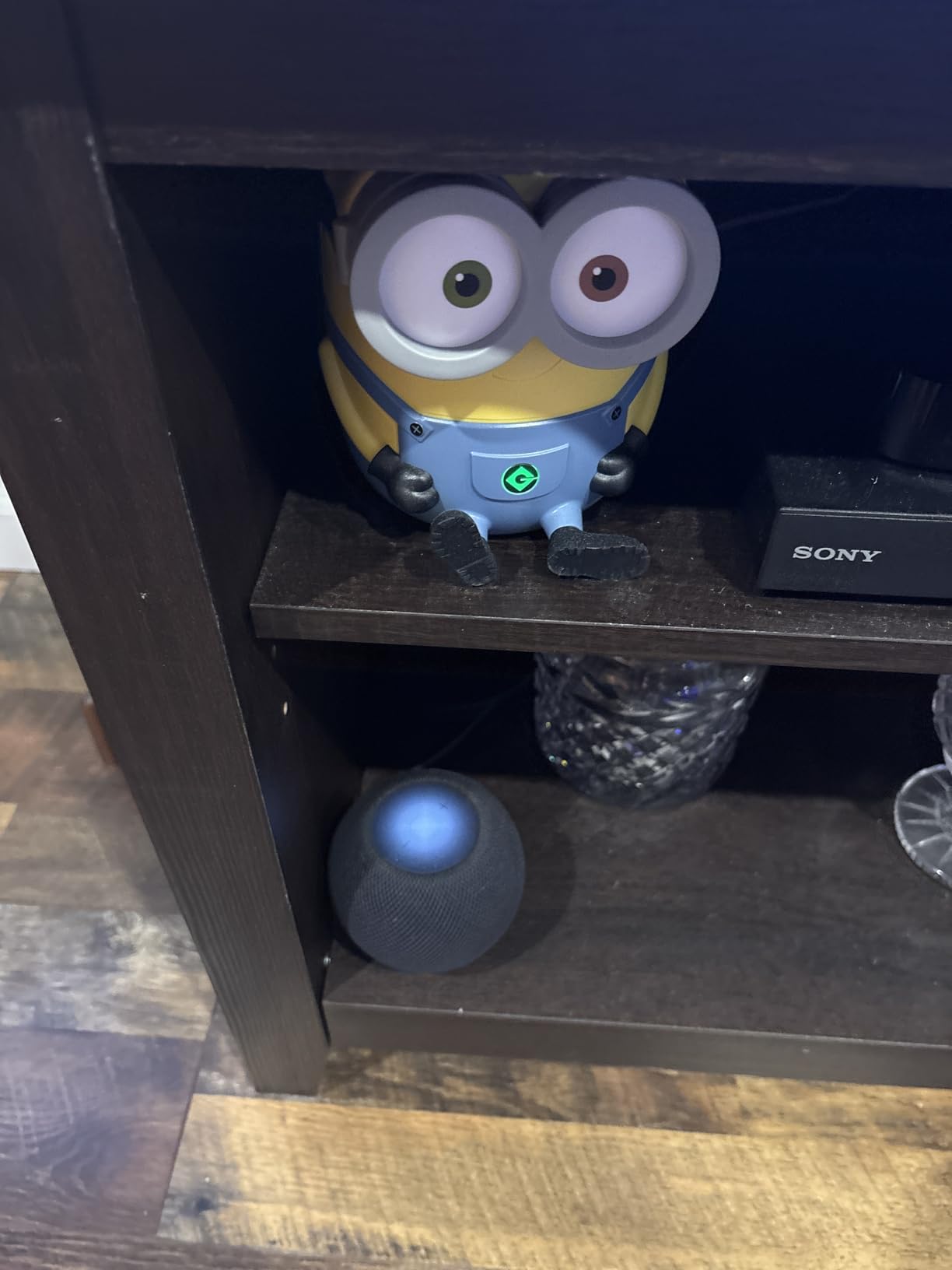 Amazon Fire TV Stick HD (newest model), free and live TV, Alexa Voice Remote, smart home controls, HD streaming Customer Review Amazon Fire TV Stick HD (newest model), free and live TV, Alexa Voice Remote, smart home controls, HD streaming - Customer Photo 1