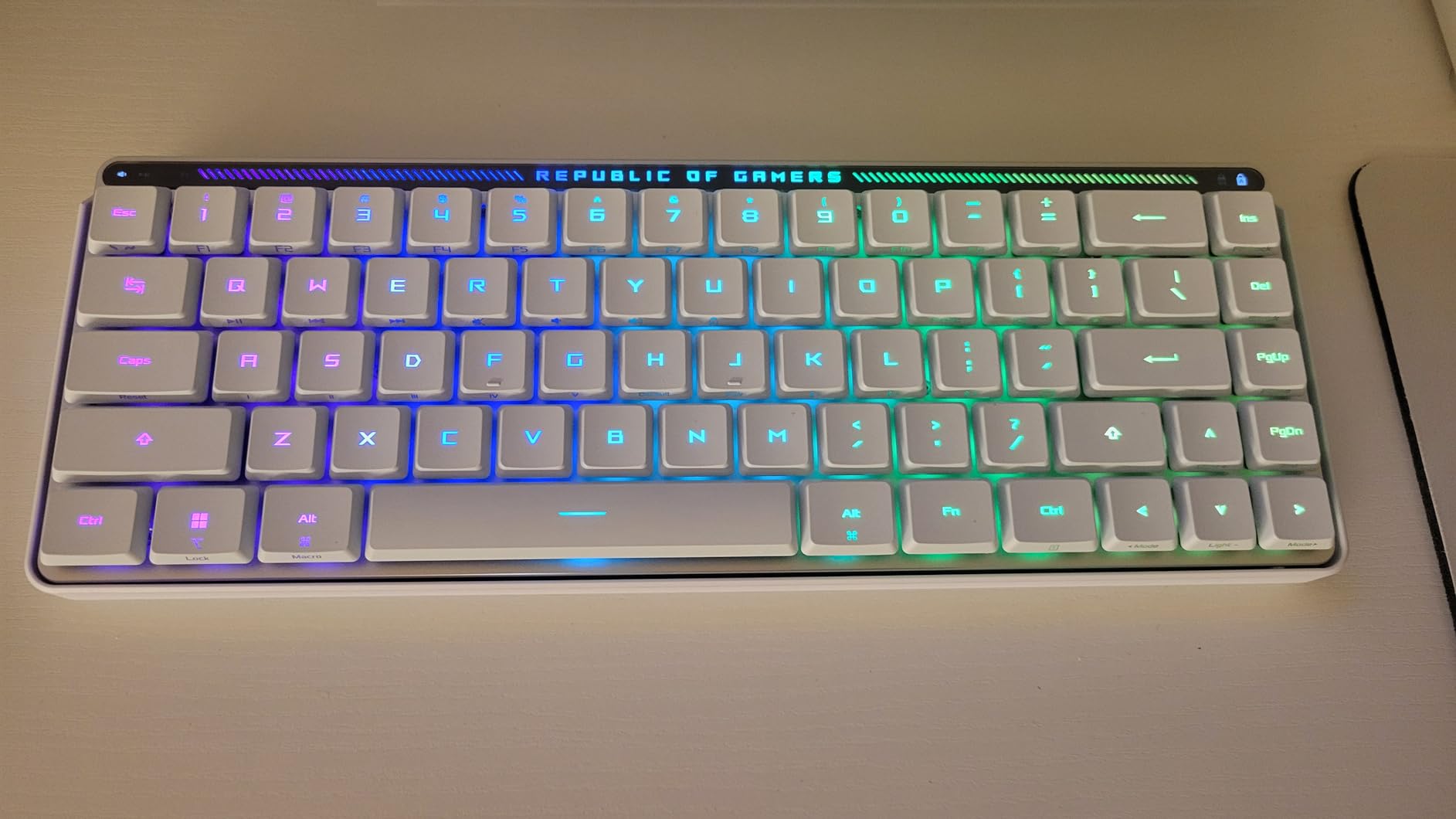 ASUS ROG Falchion RX Low Profile Wireless Gaming Keyboard – 65% Compact TKL, Tri-Mode Connectivity, ROG RX Red Optical Switches, RGB, Touch Panel, Keyboard Cover, PC/Mac Support - White - Customer Photo 2