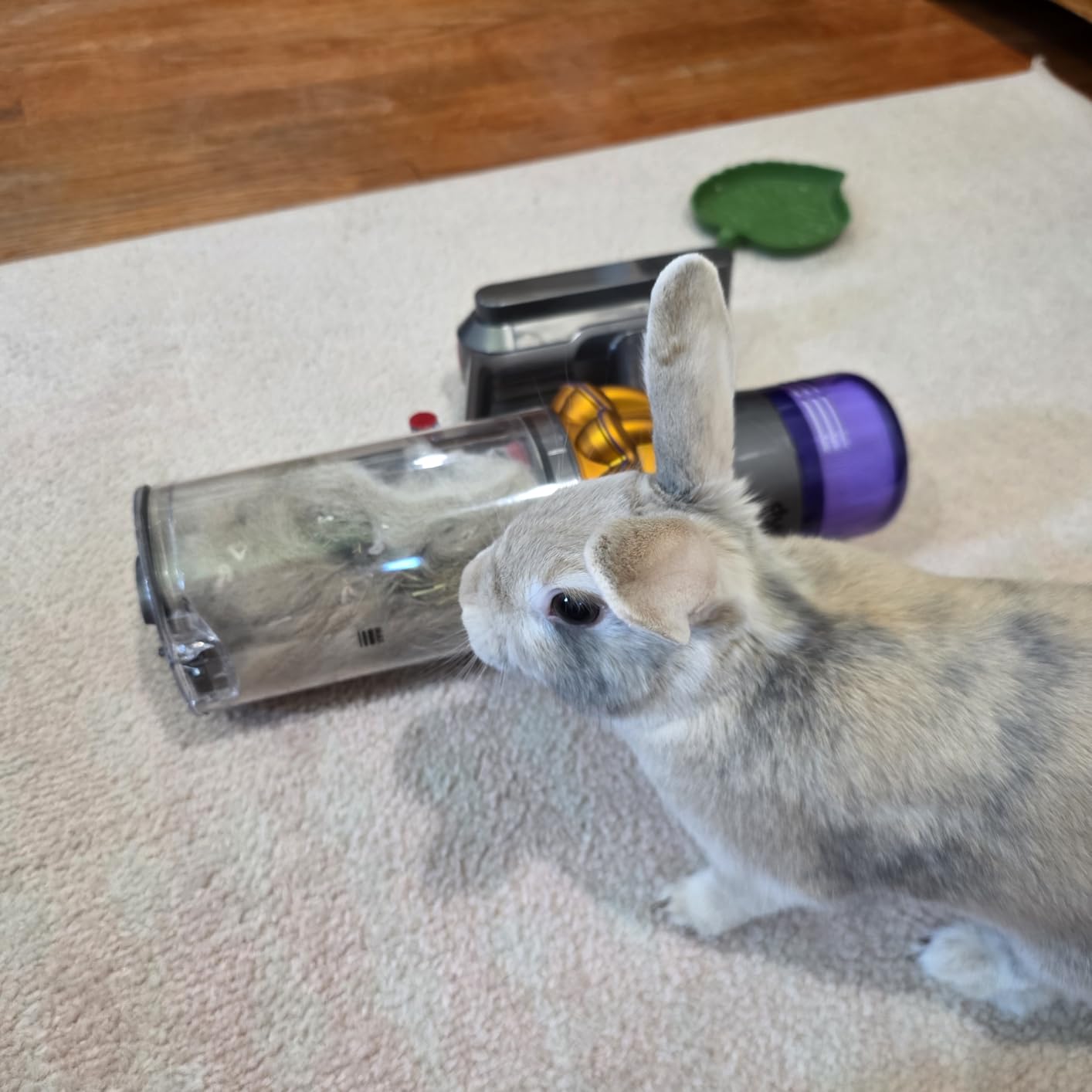 Dyson V15 Detect Plus Cordless Vacuum, Illumination Reveals dust, 240AW, 3 Power Modes, Up to 60 Minutes,² Deep Cleans Hard Floors and Carpets, Detangles pet Hair, Converts to Handheld - Customer Photo 5