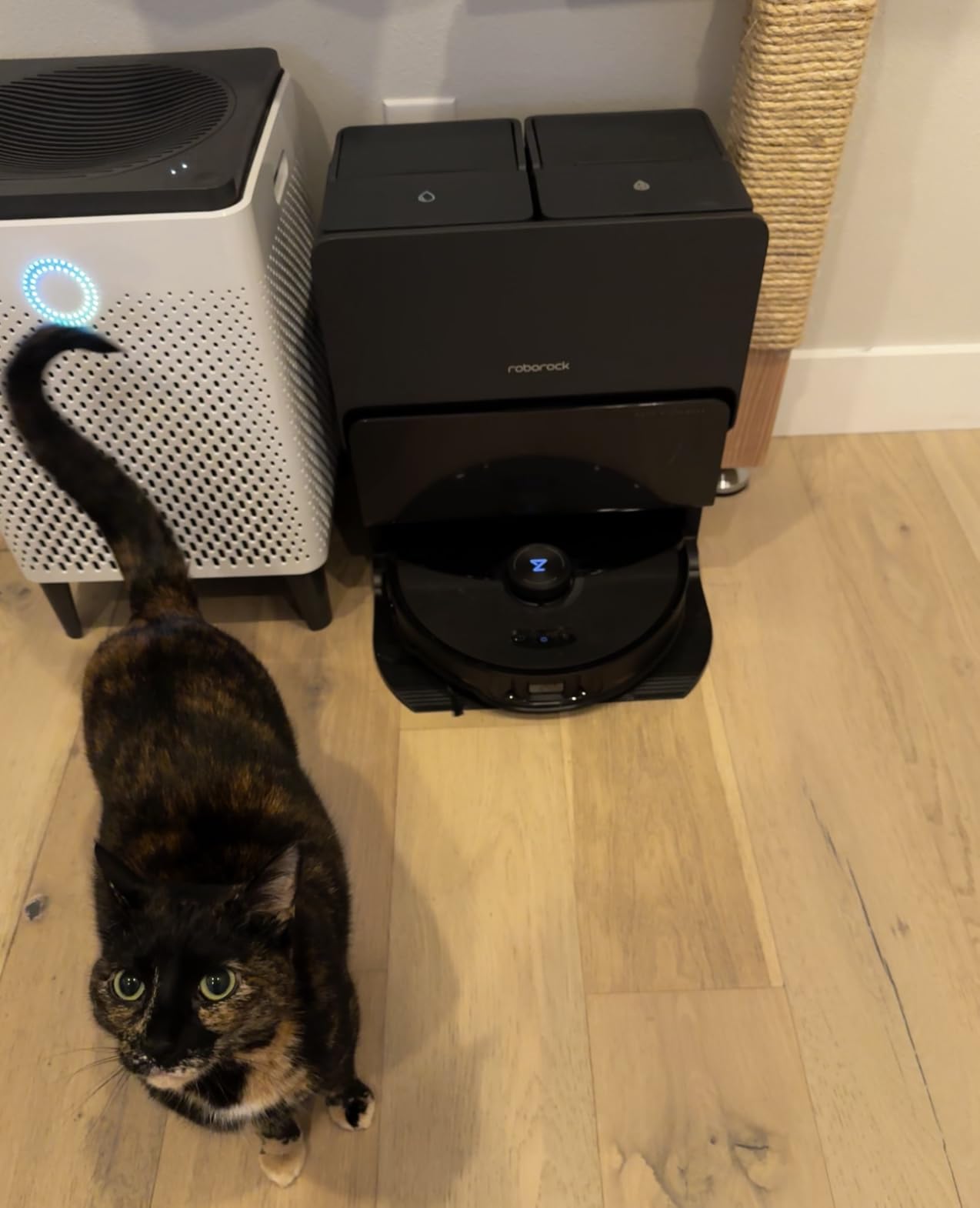 roborock S8 Max Ultra Robot Vacuum and Mop, All-in-One Dock, PreciSense LiDAR Navigation, Smart Dirt Detection, Self-Emptying, 8000Pa Suction for Various Floors, 20mm Auto Lifting for Carpet, White - Customer Photo 1