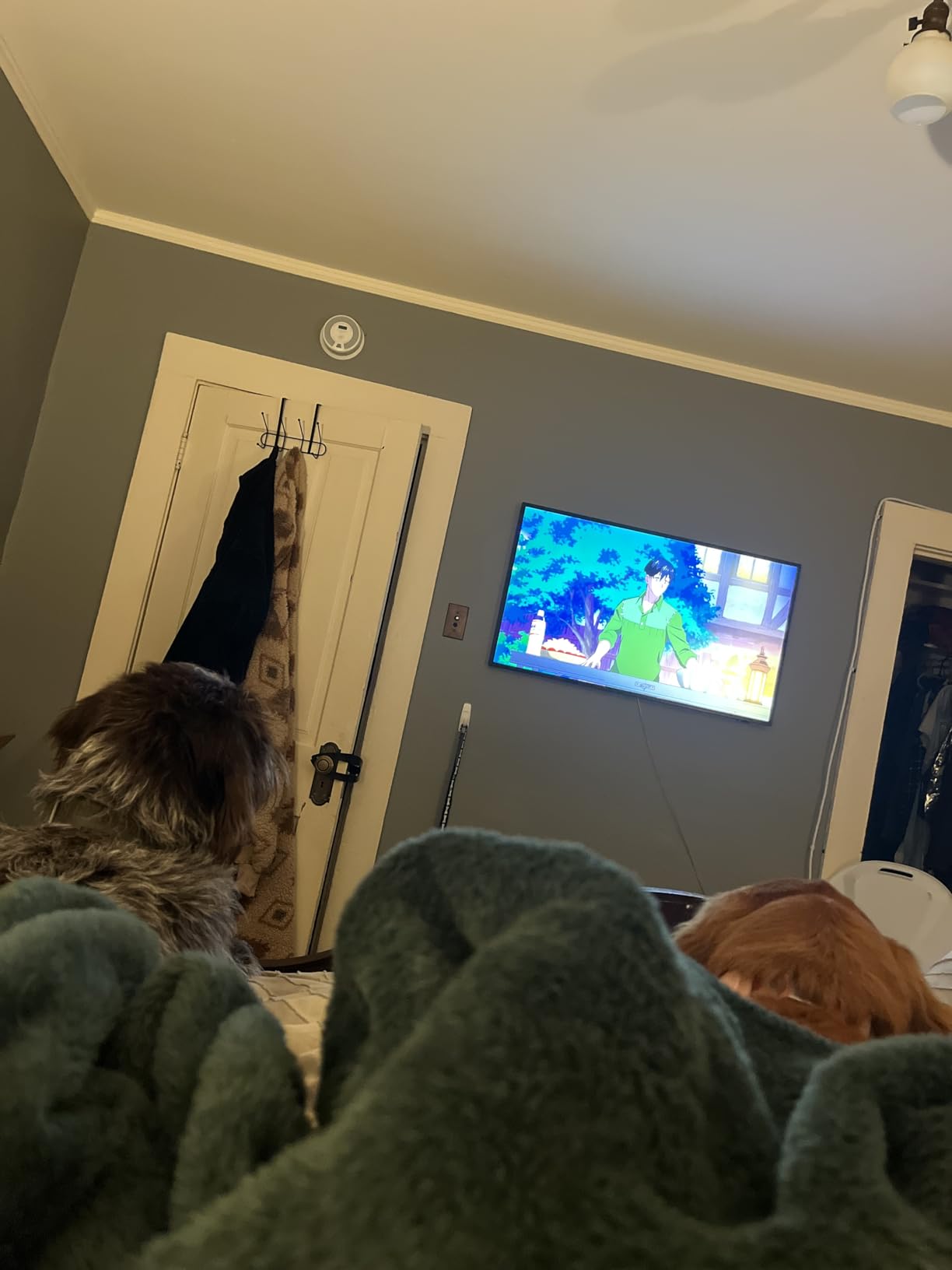 SAMSUNG 55-Inch Class QLED 4K LS03D The Frame Series Quantum HDR Smart TV w/Dolby Atmos, Art Mode, Anti-Reflection, Customizable Frame, Slim Fit Wall Mount with Alexa Built-in (QN55LS03D, 2024 Model) - Customer Photo 1