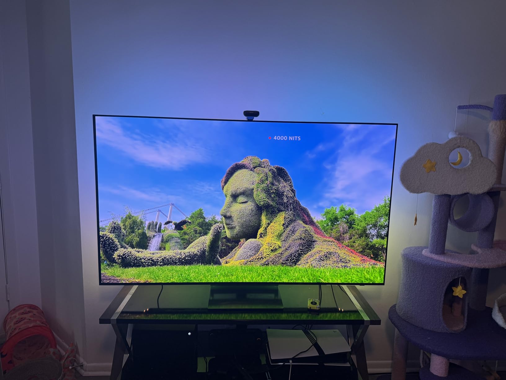 SAMSUNG 65-Inch Class OLED 4K S90D Series HDR+ Smart TV w/Dolby Atmos, Object Tracking Sound Lite, Motion Xcelerator, Real Depth Enhancer, 4K AI Upscaling, Alexa Built-in (QN65S90D, 2024 Model) - Customer Photo 5