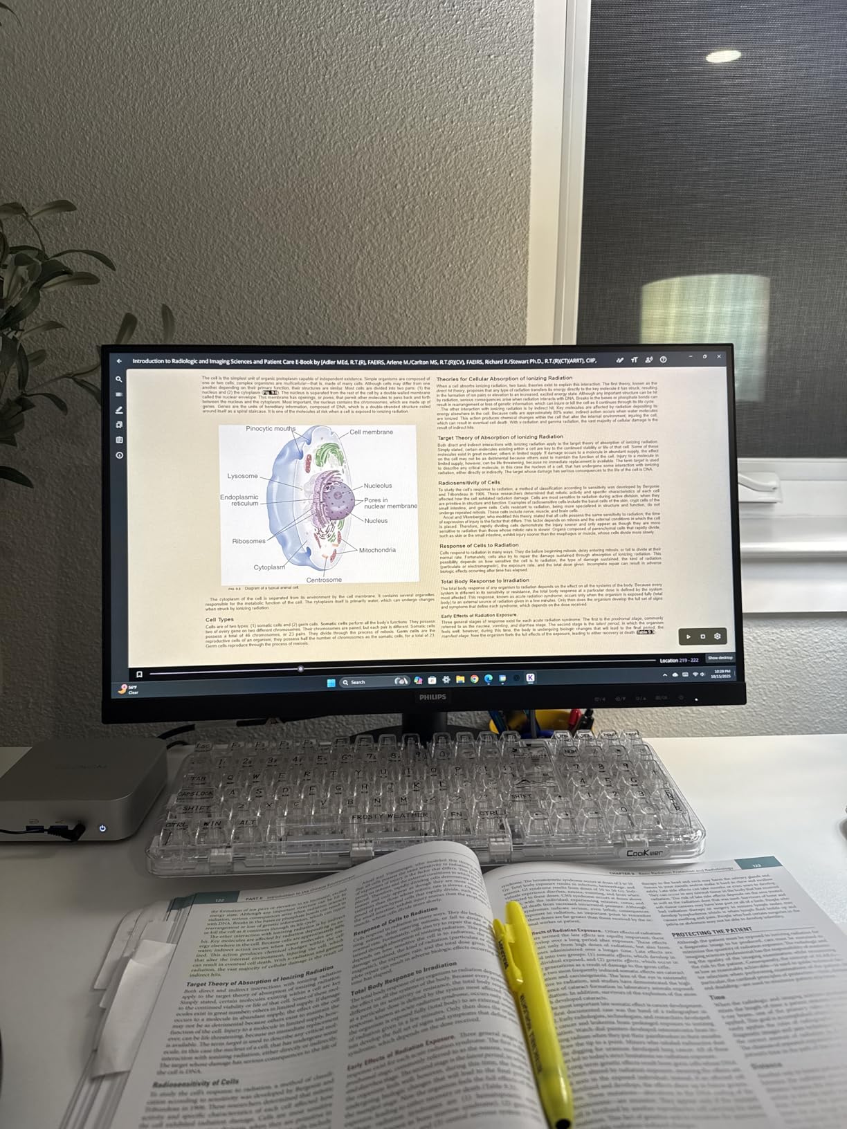 Philips 221V8LB 22 inch Class Thin Full HD (1920 x 1080) Monitor, 100Hz Refresh Rate, VESA, HDMI x1, VGA x1, LowBlue Mode, Adaptive Sync, 4 Year Advance Replacement Warranty - Customer Photo 2