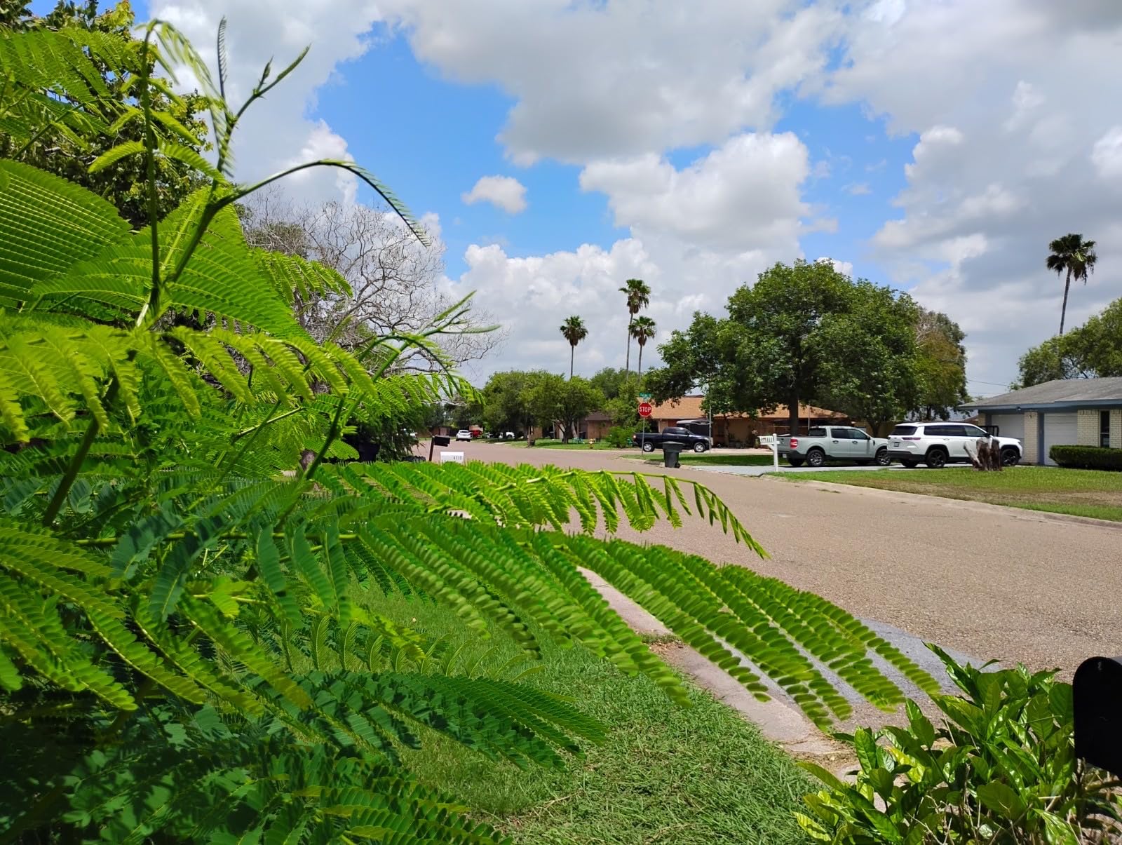 Motorola Moto G 5G | 2024 | Unlocked | Made for US 4/128GB | 50MP Camera | Sage Green - Customer Photo 4