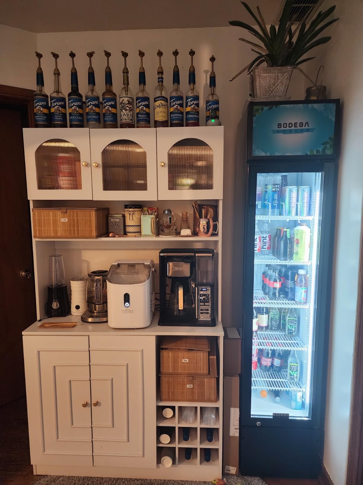 BODEGACOOLER Commercial Merchandiser Refrigerator, 2 Glass Door Commercial Beverage Refrigerator, 40 Cu. Ft Beverage Display Cooler with Soft LED Light, Adjustable Shelves and 4 Strong Castors(Black) - Customer Photo 1