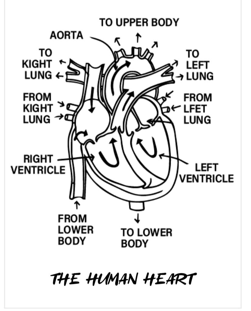 Nelko Sticker Printer, PM230 Mini Printer Bluetooth Portable Sticker Maker with 3 Rolls Paper, for DIY Creation, Study Notes, Pictures, Receipts, List, Multiple Templates for Phone & Tablet, White - Customer Photo 2