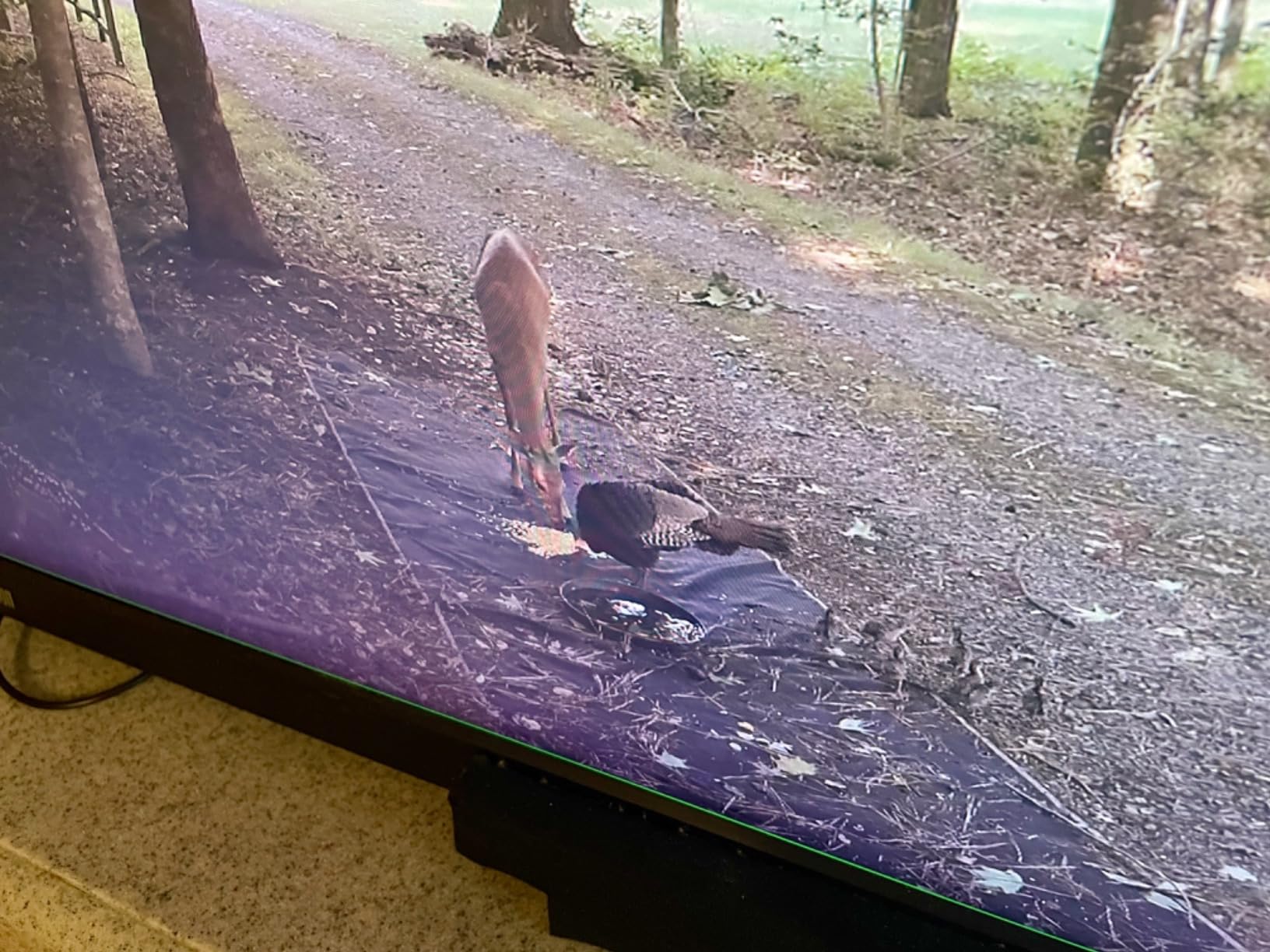 SAMSUNG 27-Inch ViewFinity S7 (S70D) Series 4K UHD High Resolution Monitor with HDR10, Multiple Ports, Easy Setup Stand, Advanced Eye Care, LS27D702EANXGO, 2024 Customer Review SAMSUNG 27-Inch ViewFinity S7 (S70D) Series 4K UHD High Resolution Monitor with HDR10, Multiple Ports, Easy Setup Stand, Advanced Eye Care, LS27D702EANXGO, 2024 - Customer Photo 2