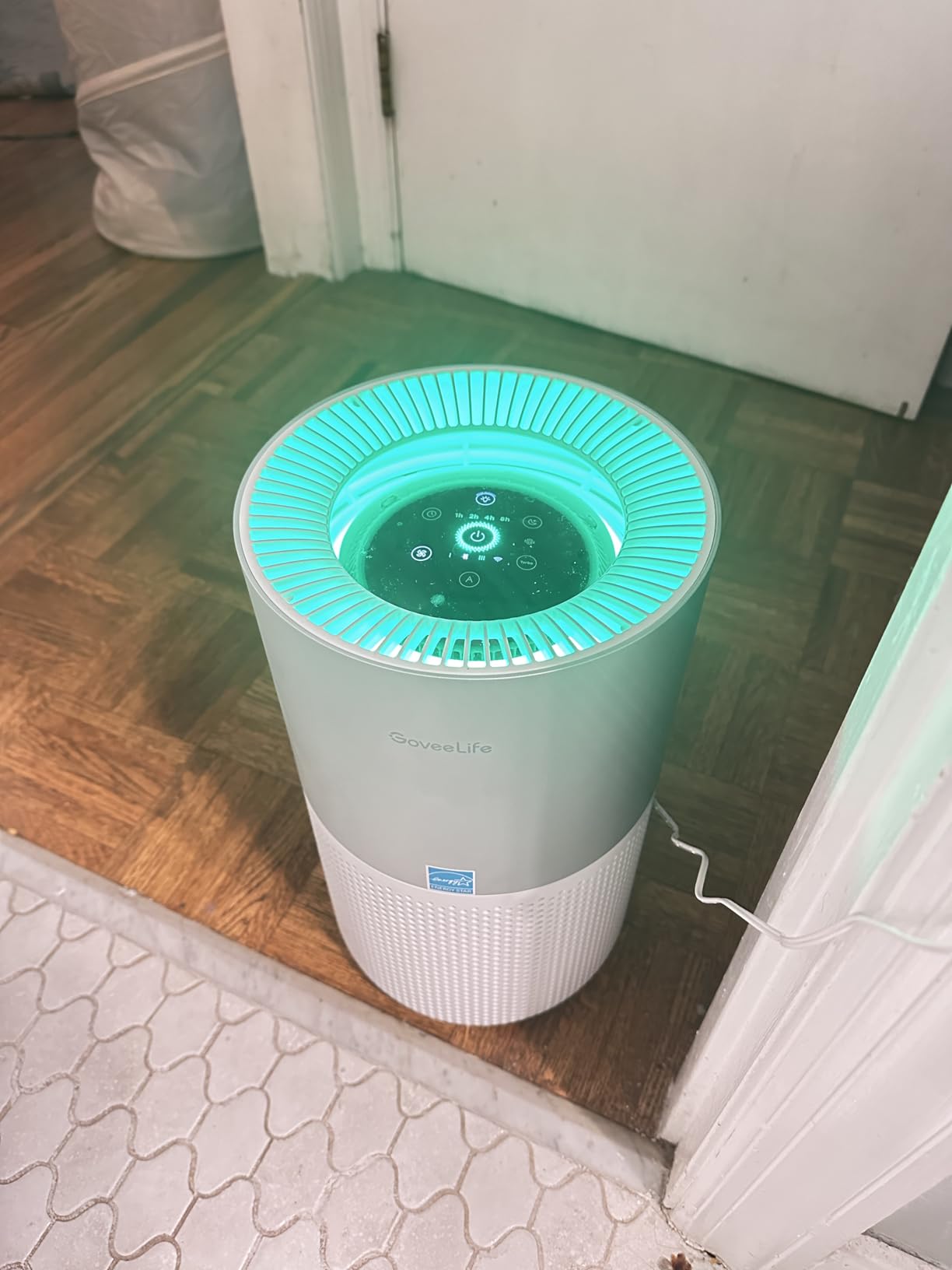 GoveeLife Air Purifiers for Home, Smart Air Purifier for Large Rooms with App & Alexa Control, Covers up to 1162ft², Air Quality Monitor, PM2.5 Sensor Air Purifier for Pet Hair, Pollen, Dust, Smoke - Customer Photo 2