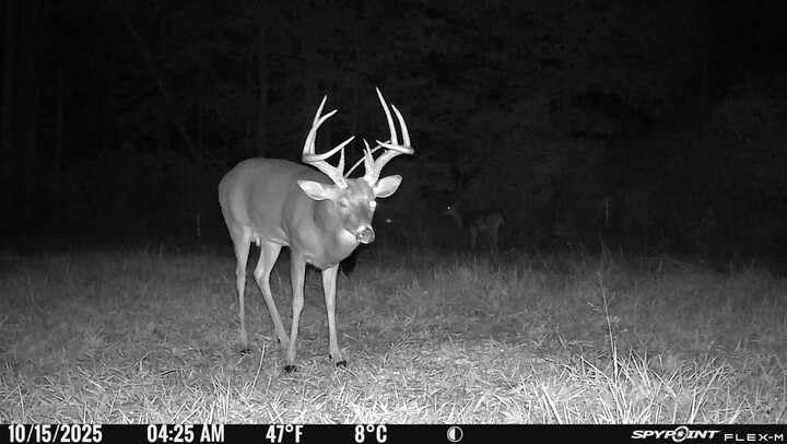 SPYPOINT Flex-M Twin Pack Cellular Trail Cameras - Best Hunting Accessories, No WiFi Needed, GPS, Night Vision, Dual-Sim LTE, IP65 Water-Resistant Game Camera, 28MP Photos, 720p Videos + Sound (2) Customer Review SPYPOINT Flex-M Twin Pack Cellular Trail Cameras - Best Hunting Accessories, No WiFi Needed, GPS, Night Vision, Dual-Sim LTE, IP65 Water-Resistant Game Camera, 28MP Photos, 720p Videos + Sound (2) - Customer Photo 2