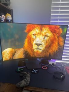 13 Best Curved Gaming Monitors March 2026 Complete Guide B0D2FSYS5J Customer 1 225x300 