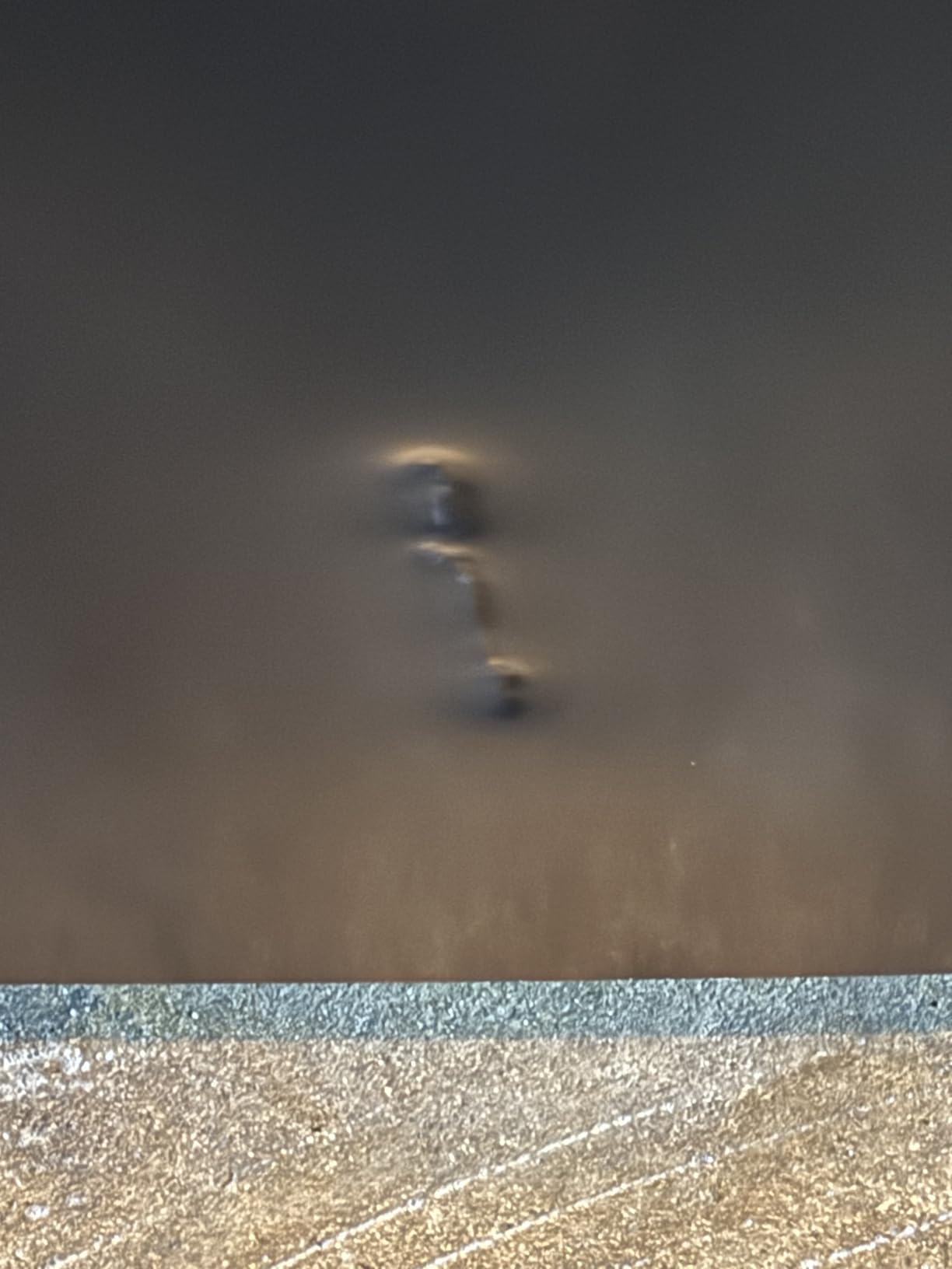 BLACK+DECKER 16 Cu. Ft. French Door Refrigerator with Built-in Ice Maker, ENERGY STAR certified - Customer Photo 2