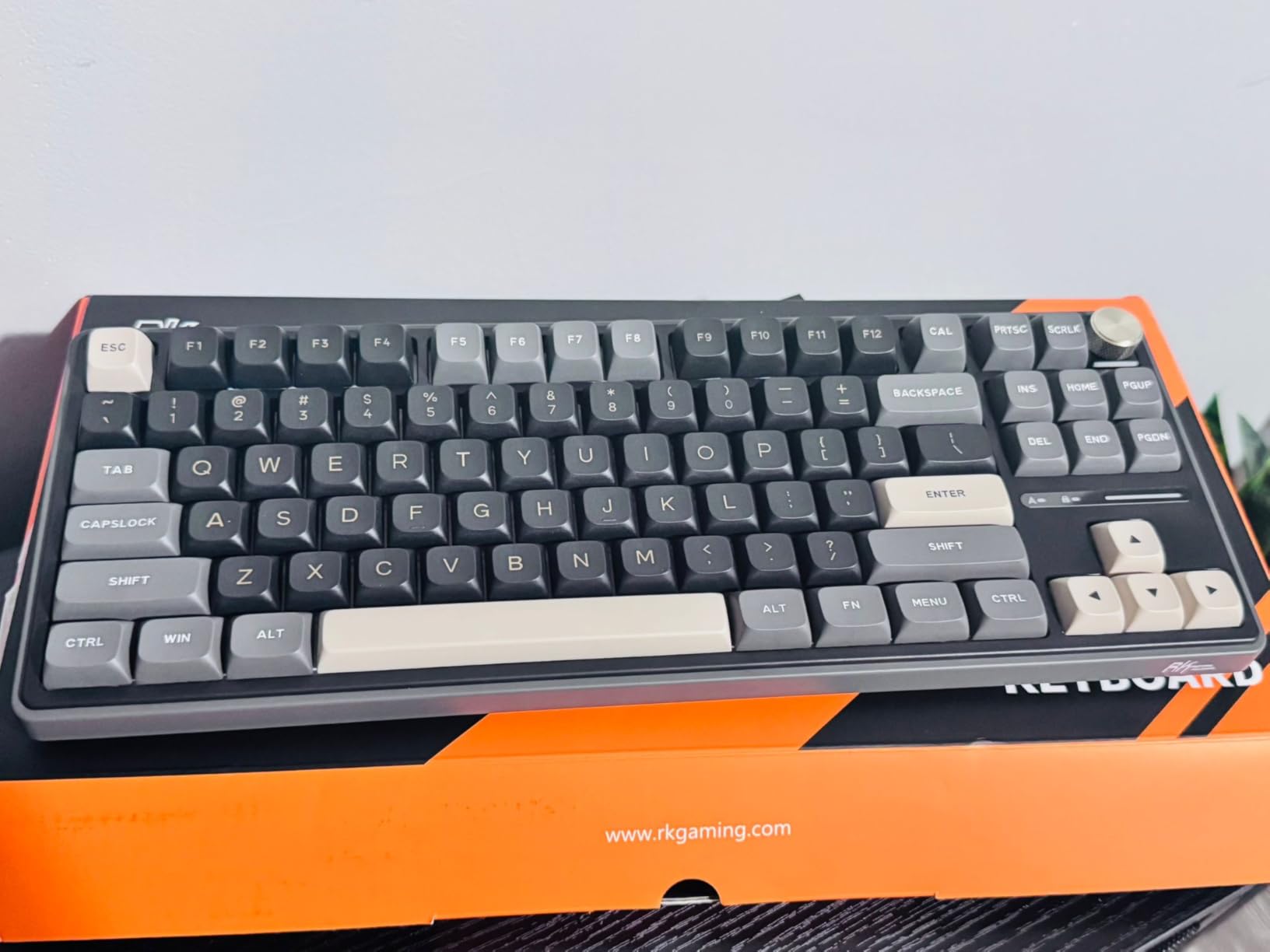 RK ROYAL KLUDGE R87 Pro Wired Mechanical Keyboard with Hot Swappable Knob 75% RGB Backlit Gaming Keyboard 88 Keys TKL Gasket Mounted with QMK/VIA and Linear Creamy Switch Customer Review RK ROYAL KLUDGE R87 Pro Wired Mechanical Keyboard with Hot Swappable Knob 75% RGB Backlit Gaming Keyboard 88 Keys TKL Gasket Mounted with QMK/VIA and Linear Creamy Switch - Customer Photo 1