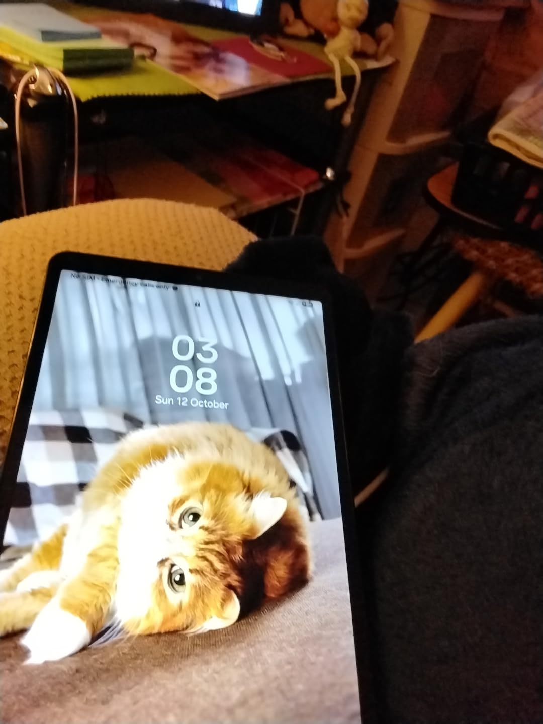 SAMSUNG Galaxy Tab A9 4G LTE (64GB, 4GB, Cellular) 8.7