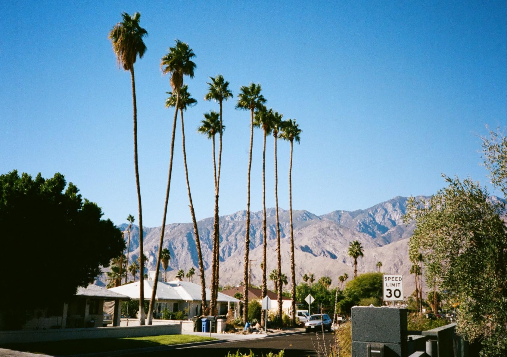 Pentax 17 35mm Film Camera That captures up to 72 Images per roll with a Vertical (Half Frame) Orientation, Perfect for Social Media. Customer Review Pentax 17 35mm Film Camera That captures up to 72 Images per roll with a Vertical (Half Frame) Orientation, Perfect for Social Media. - Customer Photo 4