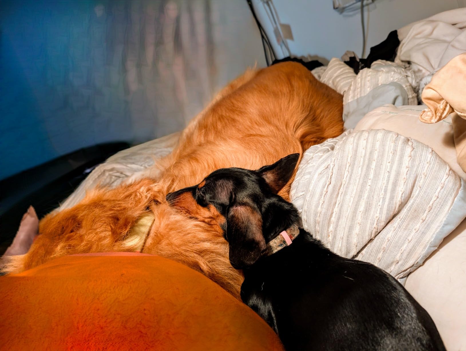 Google Pixel 9 Pro - Unlocked Android Smartphone with Gemini, Triple Rear Camera System, 24-Hour Battery, and 6.3