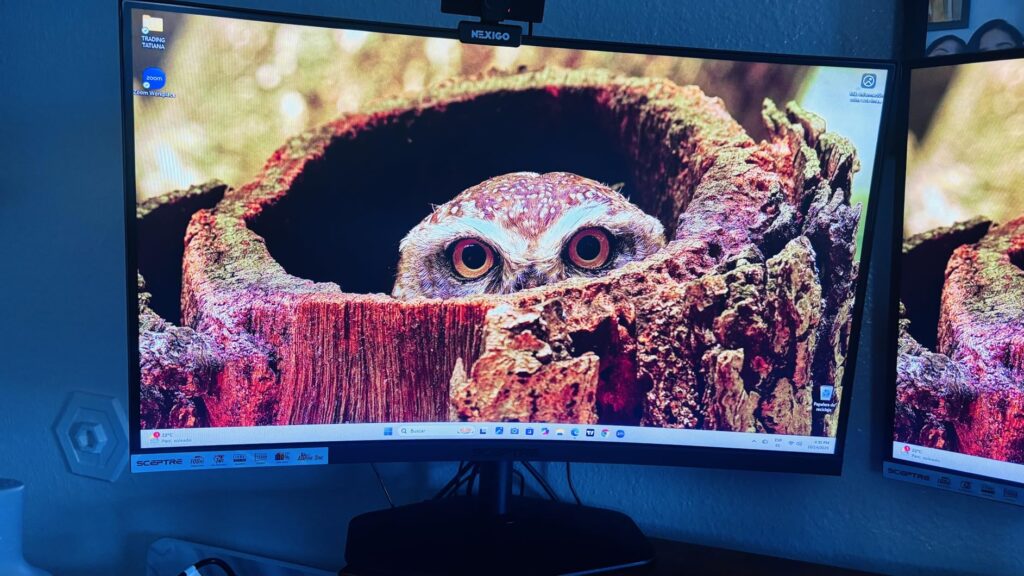 8 Best Dual Monitor Setup (March 2026) Complete Guide