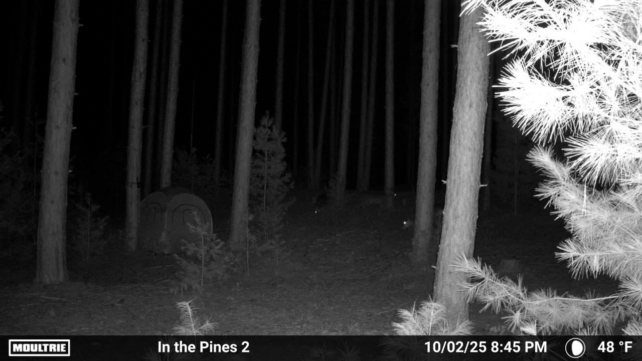 Moultrie Edge 2 Cellular Trail Camera - Auto Connect Nationwide 4G LTE - On Demand 36MP Photo - 1080P Video with HD Audio - 100 Ft Detection Range - Low Glow Flash Customer Review Moultrie Edge 2 Cellular Trail Camera - Auto Connect Nationwide 4G LTE - On Demand 36MP Photo - 1080P Video with HD Audio - 100 Ft Detection Range - Low Glow Flash - Customer Photo 1