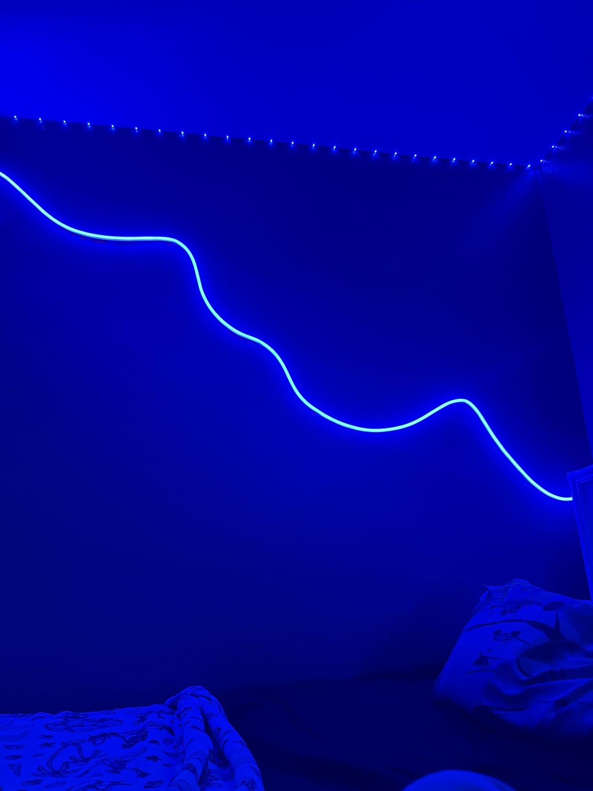 Lepro N1 AI Smart RGB Rope Lights for Christmas, Personalized AI Lighting Designer, LightBeats Music Sync, Color Segment DIY, Voice Control Via App, 32.8ft Wi-Fi & Bluetooth LED Strip Lights - Customer Photo 2