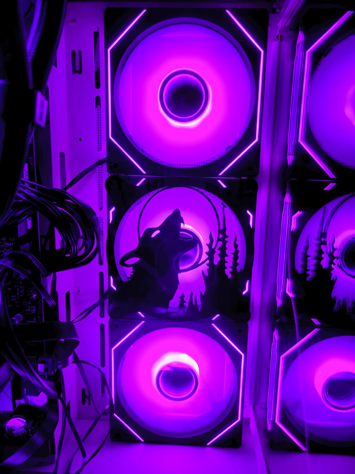 DARKROCK F120 3in1 120mm Infinite Mirror Design Case Fans with 24 LED Lights PWM Control & ARGB Effect, Hydraulic HDB Bearing for Low-Noise Operation - Suitable for Most PC Cooling Systems - Black Customer Review DARKROCK F120 3in1 120mm Infinite Mirror Design Case Fans with 24 LED Lights PWM Control & ARGB Effect, Hydraulic HDB Bearing for Low-Noise Operation - Suitable for Most PC Cooling Systems - Black - Customer Photo 2