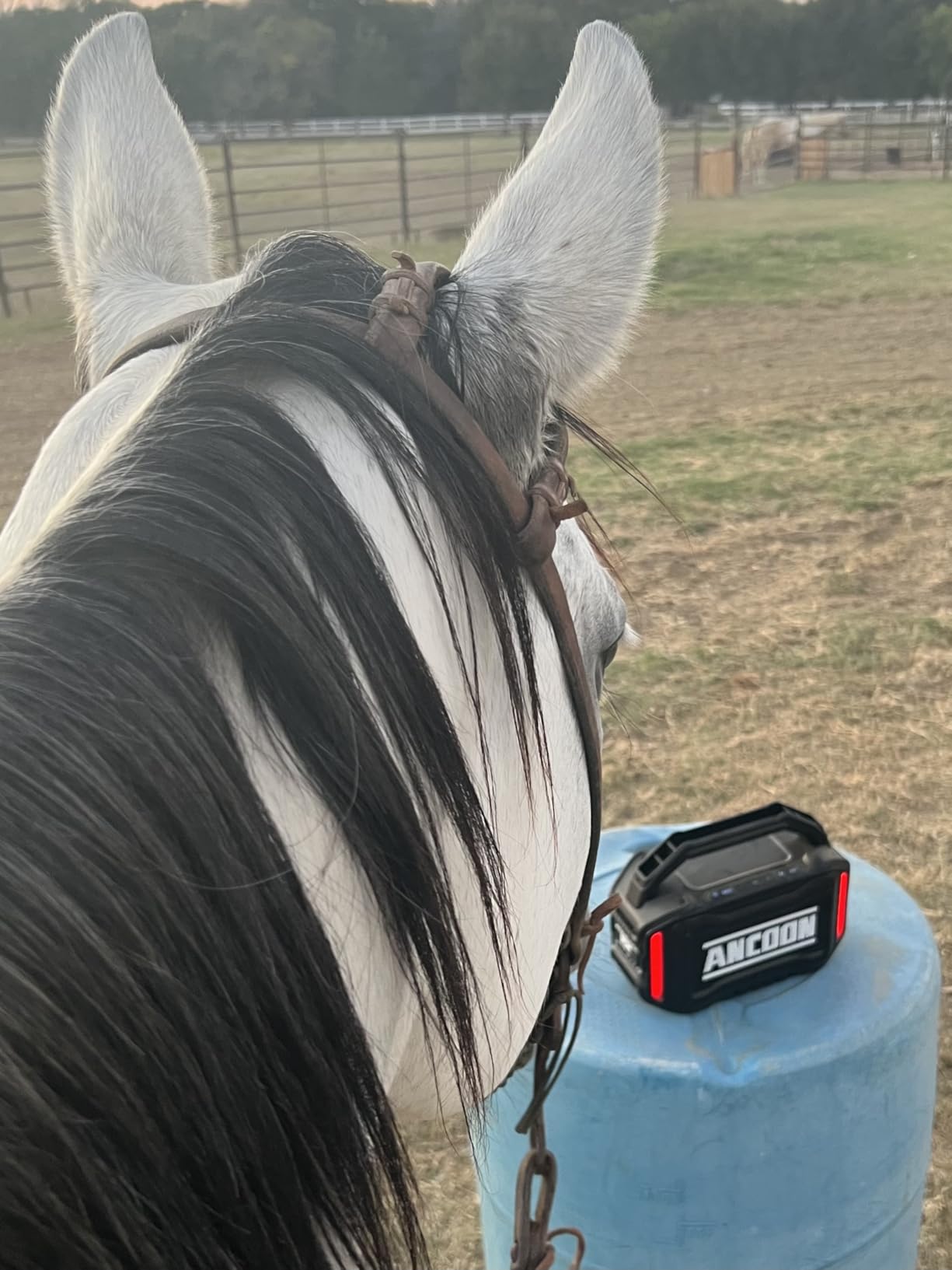 Speakers Bluetooth Wireless: 80W(Peak) Loud Speaker with Bass, 20H Playtime, IPX6 Waterproof, Large Jobsite Speakers for Work, Outdoor, Workshop, Garage, Portable Speaker with TWS (Black) - Customer Photo 1