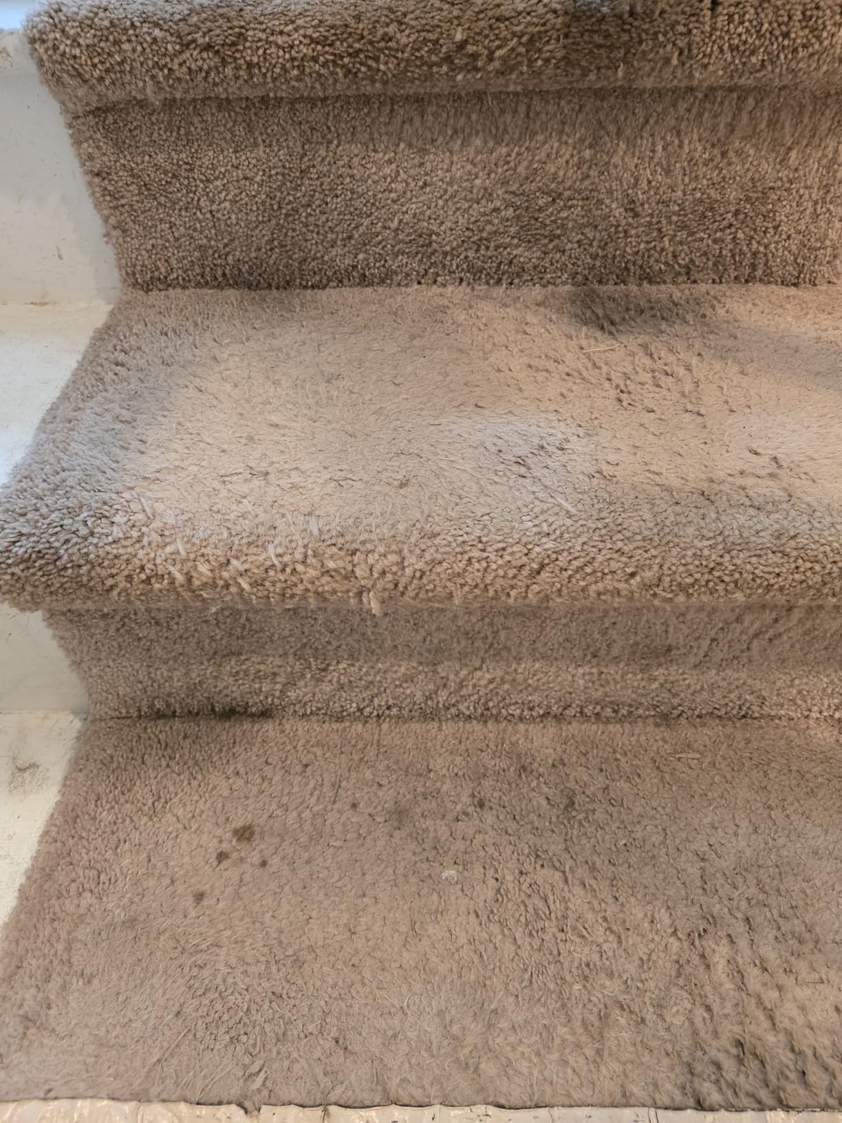 BISSELL Little Green Mini Portable Carpet and Upholstery Deep Cleaner, Car/Auto Detailer, with HydroRinse Self-Cleaning Tool and 4