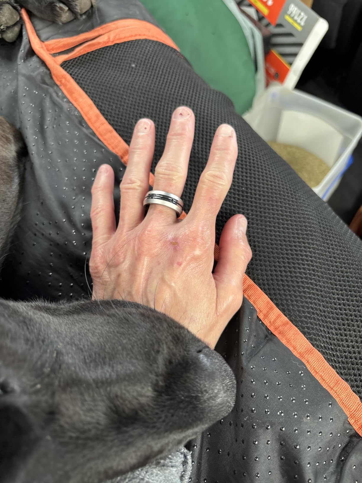 RENPHO Lynx Smart Ring Health Tracker, Fitness Tracker Smart Ring for Women & Men, Sleep Tracker with 7-Day Battery Life, 8 Sizes, Titanium, Waterproof, Subscription-Free App (Silver, Size 7) - Customer Photo 4