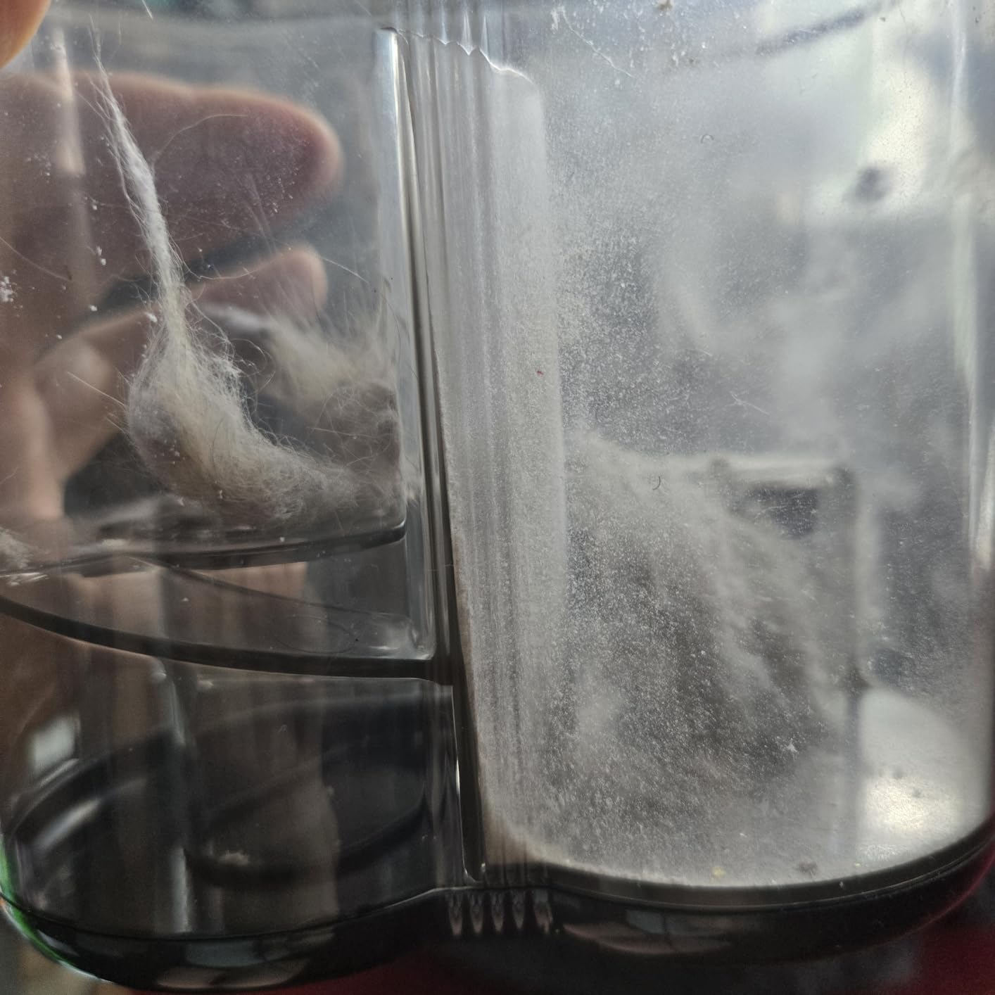 FEPPO Mattress Vacuum Cleaner, 16Kpa Bed Vacuum Cleaner with 253.7nm UV-C Light, 140°F Heat, HEPA Filter & Ultrasonic, Versatile Handheld Vacuums for Bed, Sofa, Couch, Crib(Corded, 500W) - Customer Photo 1