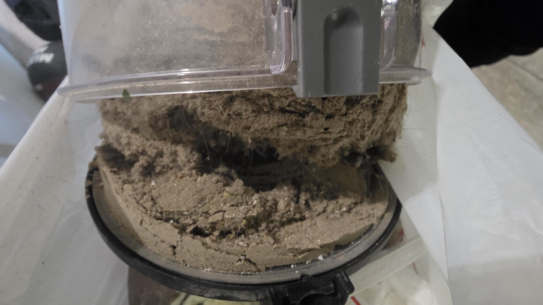 BISSELL Pet Hair Eraser Allergen Lift-Off with Powerful Suction, HEPA, Tangle-Free Brush Roll, 39883 - Customer Photo 1