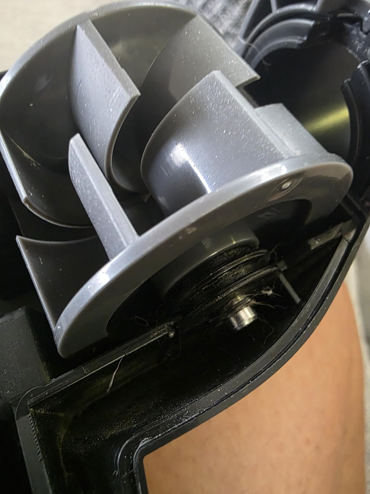 BISSELL Pet Hair Eraser Allergen Lift-Off with Powerful Suction, HEPA, Tangle-Free Brush Roll, 39883 - Customer Photo 4