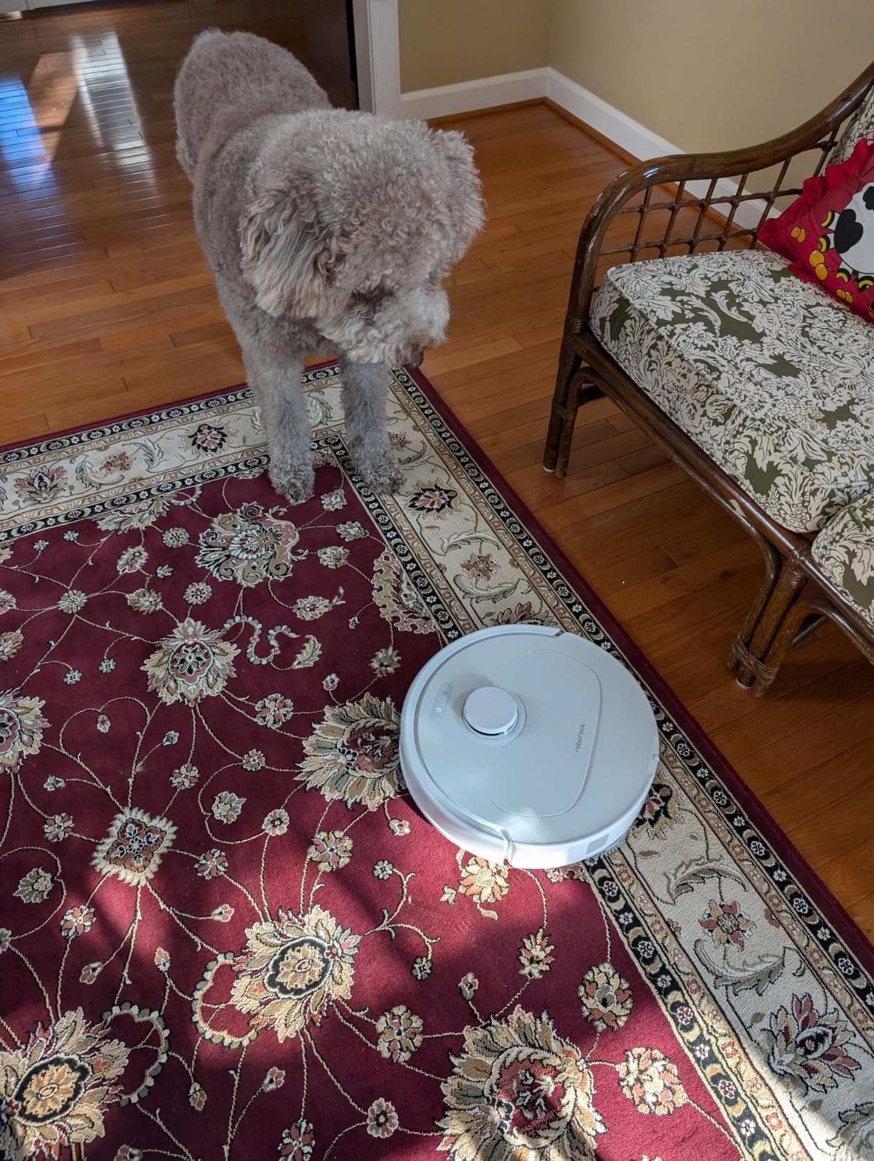 roborock Qrevo Series Robot Vacuum and Mop, 8000Pa Suction, Upgraded from Qrevo S, Anti-Tangle Brushes, Smart Obstacle Avoidance, Auto Mop Washing, All-in-One Dock, 200RPM Spinning Mops, Black(QV 35A) - Customer Photo 2