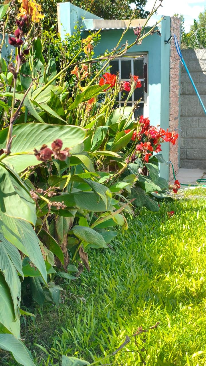 Poco X7 PRO 5G + 4G LTE (512GB + 12GB) Ai 6.67