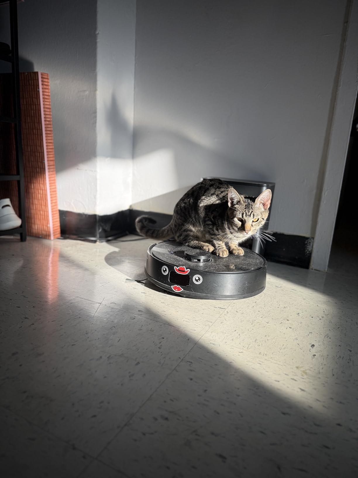 MONSGA Robot Vacuum and Mop Combo, 5000Pa Robotic Vacuum with 3.5L Self Emptying Station, Lidar Navigation Robot Vacuum Cleaner, 180mins Runtime, APP/Remote/Voice Control, for Hard Floors and Carpets - Customer Photo 1