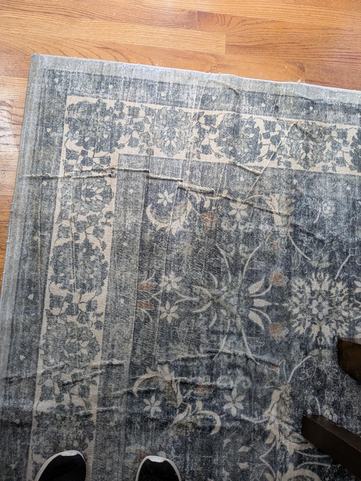 BISSELL Little Green Mini Portable Carpet and Upholstery Deep Cleaner, Car/Auto Detailer, with HydroRinse Self-Cleaning Tool and 4