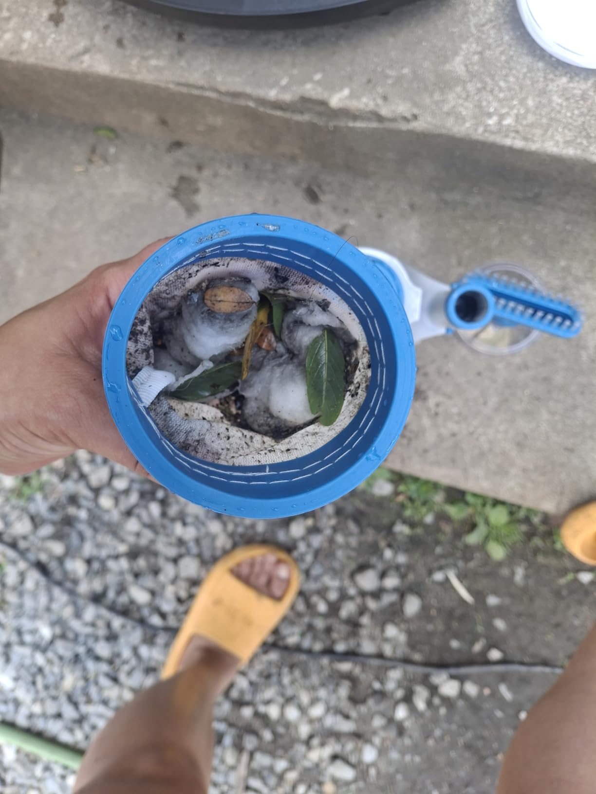 KOKIDO 2025 Cordless Pool Vacuum with 72