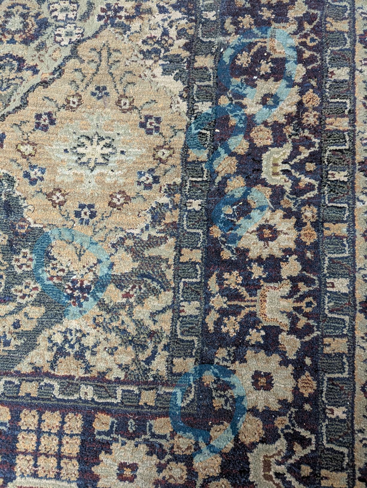 Tikom Robot Vacuum and Mop Combo, 5000Pa Robotic Vacuum Cleaner, 150 Min Max, App & Remote Control, Ideal for Hard Floor, Carpet, Pet Hair, Self-Charge(G8000 Max) - Customer Photo 3