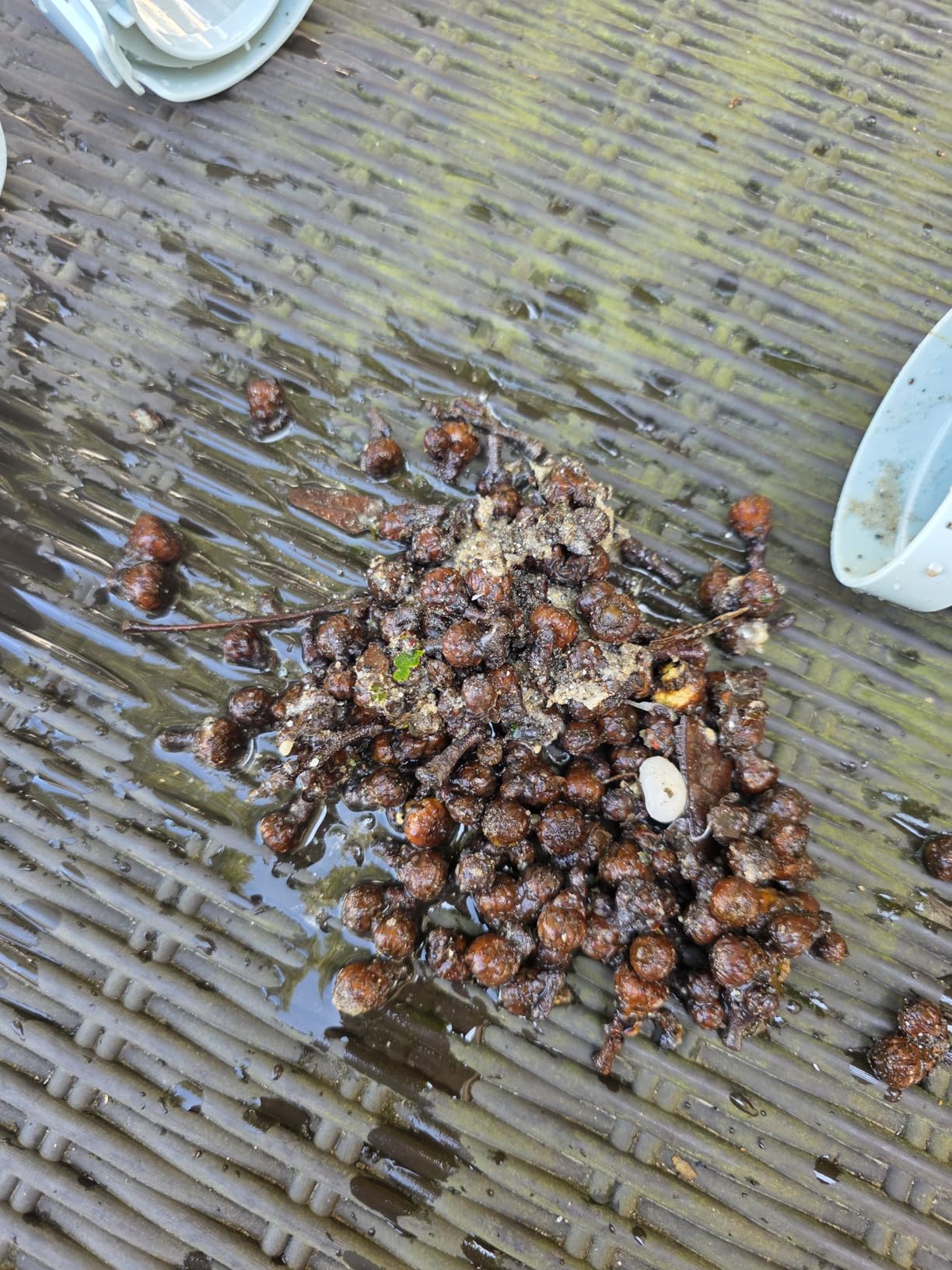 Lydsto S1 Lite Cordless Spa Hot Tub Vacuum Cleaner – 90-Min Runtime, Powerful 20W Brushless Motor, Includes 3 Aluminum Poles, Lightweight Handheld Pool Vacuum to Clean Small Debris Types, Silver - Customer Photo 3