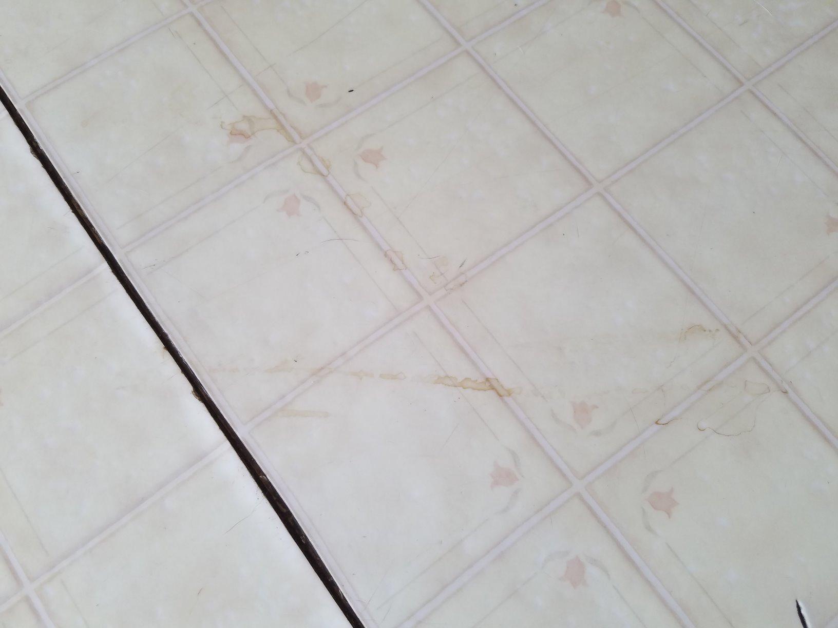 roborock Q7 M5+ Robot Vacuum and Mop, Upgraded from Q5 Max+, Up to 7-9 Weeks Self-Empty, 10000Pa Suction, Dual Anti-Tangle System for Pet Hair & Carpet, PreciSense LiDAR Navigation, App Control, Black Customer Review roborock Q7 M5+ Robot Vacuum and Mop, Upgraded from Q5 Max+, Up to 7-9 Weeks Self-Empty, 10000Pa Suction, Dual Anti-Tangle System for Pet Hair & Carpet, PreciSense LiDAR Navigation, App Control, Black - Customer Photo 1