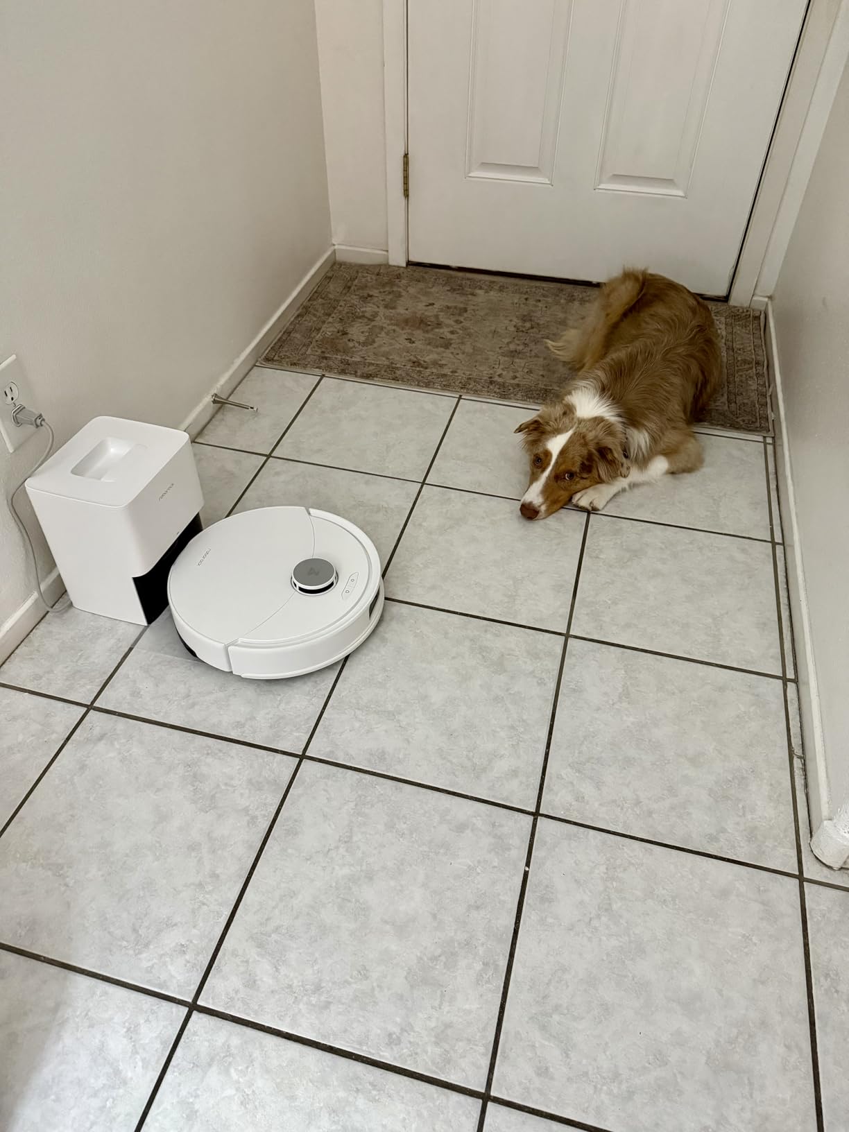 roborock Q10 X5+ Robot Vacuum and Mop, Self-Emptying, Hands-Free Cleaning for up to 7 Weeks, 10,000Pa Suction, Obstacle Avoidance, LiDAR Navigation, No-Go Zones, Black - Customer Photo 1