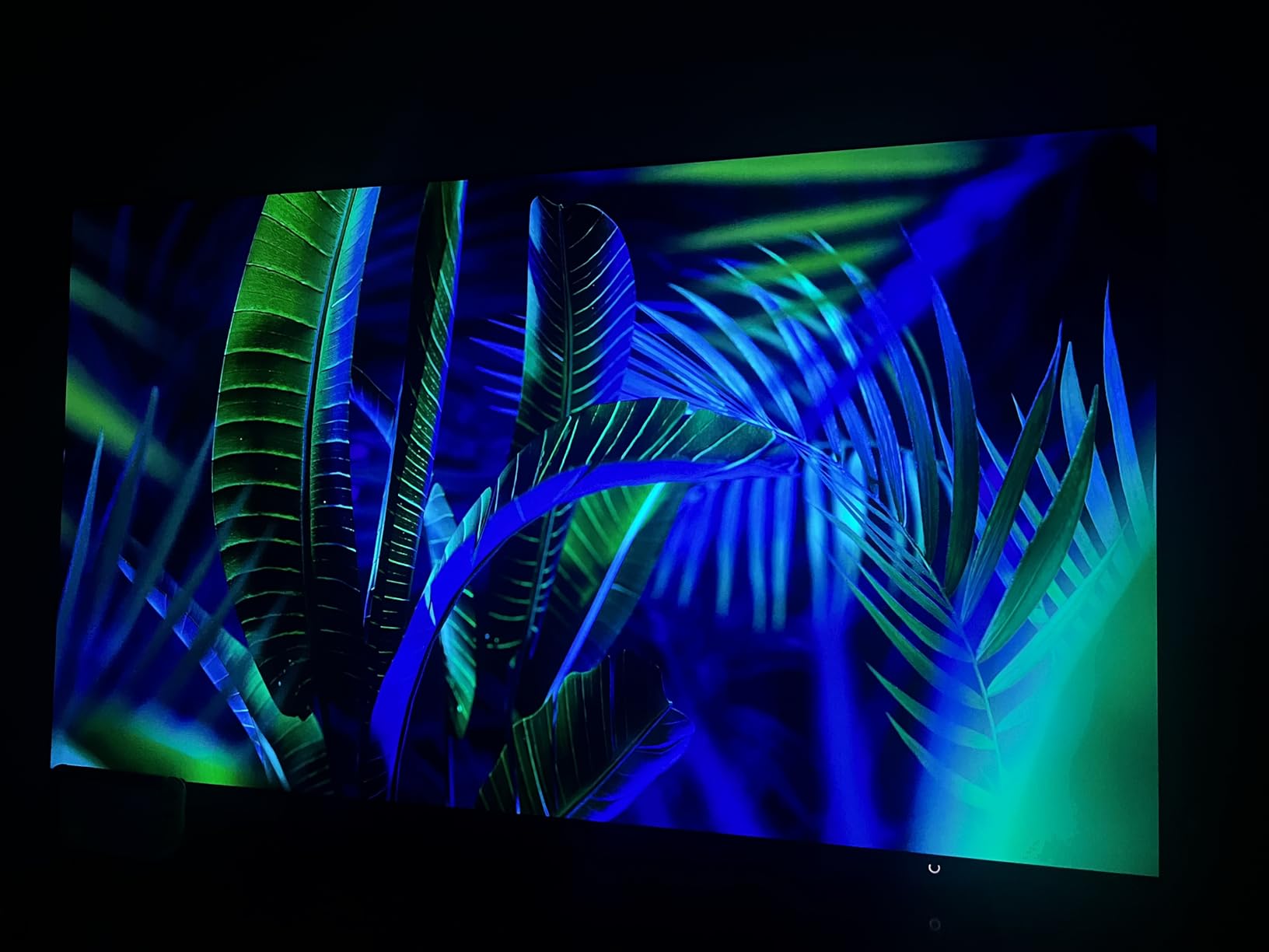 SAMSUNG 65-Inch Class OLED S95F 4K Glare Free Smart TV (2025 Model) NQ4 AI Gen3 Processor, OLED HDR Pro, Motion Xcelerator 164Hz, Dolby Atmos, Samsung Vision AI, Alexa Built-in - Customer Photo 2