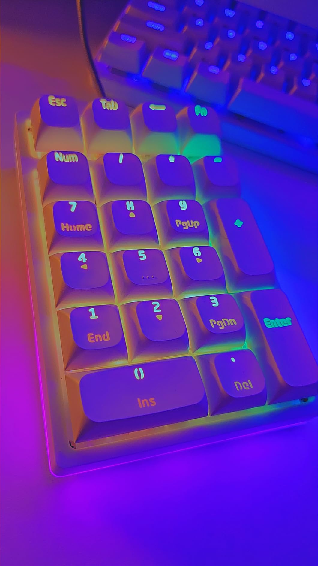 MOTOSPEED K27 One-Handed Mechanical Mini Gaming Keypad 27 Keys, 9 LED Backlit USB Wired Mechanical Gaming Keyboard for Pro Keyboard Computer/PC/Desktop/Laptop/Mac Customer Review MOTOSPEED K27 One-Handed Mechanical Mini Gaming Keypad 27 Keys, 9 LED Backlit USB Wired Mechanical Gaming Keyboard for Pro Keyboard Computer/PC/Desktop/Laptop/Mac - Customer Photo 4