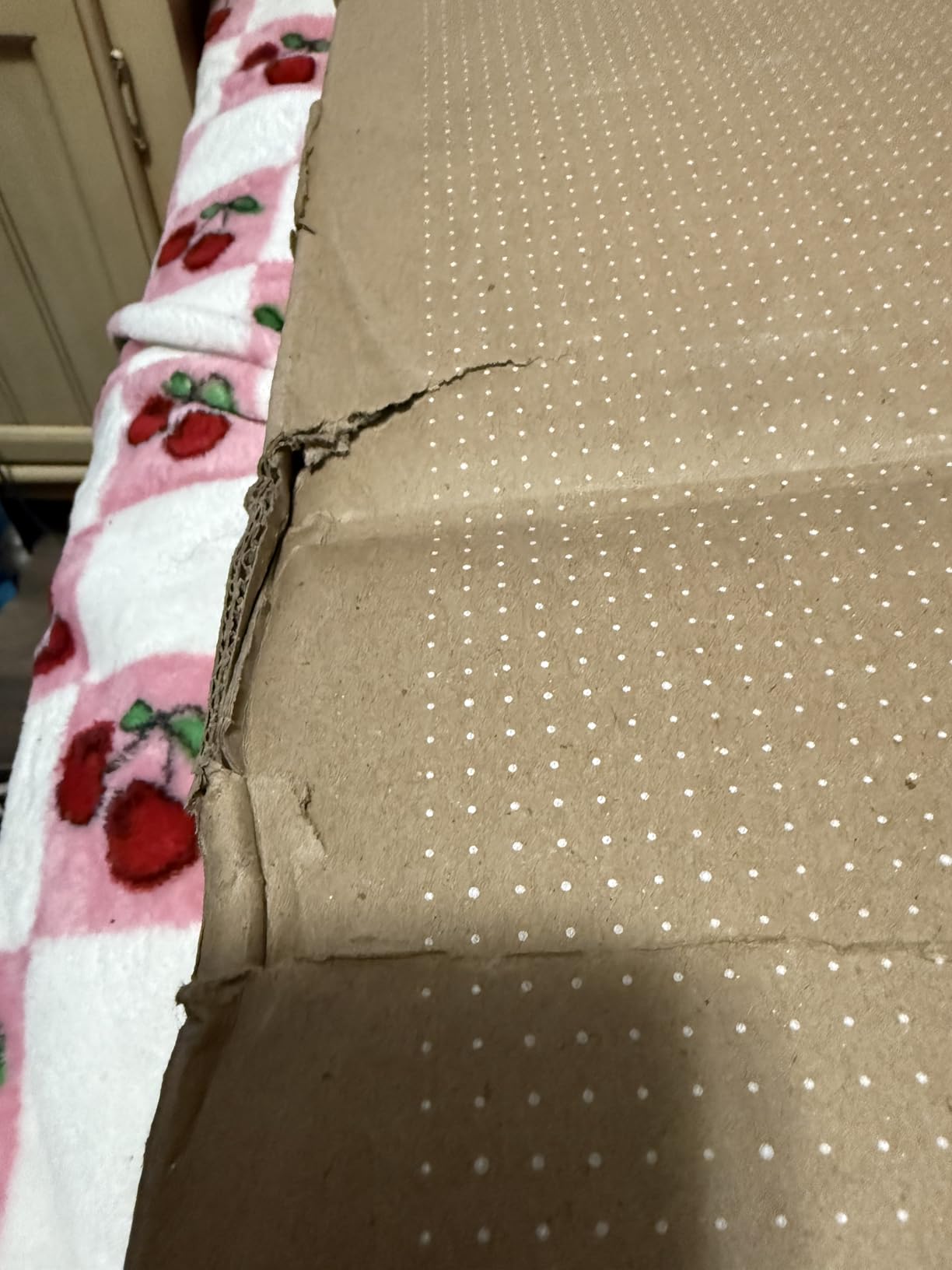 Samsung 65-Inch Class QLED Q8F 4K UHD Smart TV (2025 Model) Q4 AI Processor, 100% Color Volume with Quantum Dot, AirSlim Design, Endless Free Content, Samsung Vision AI, Alexa Built-in - Customer Photo 5