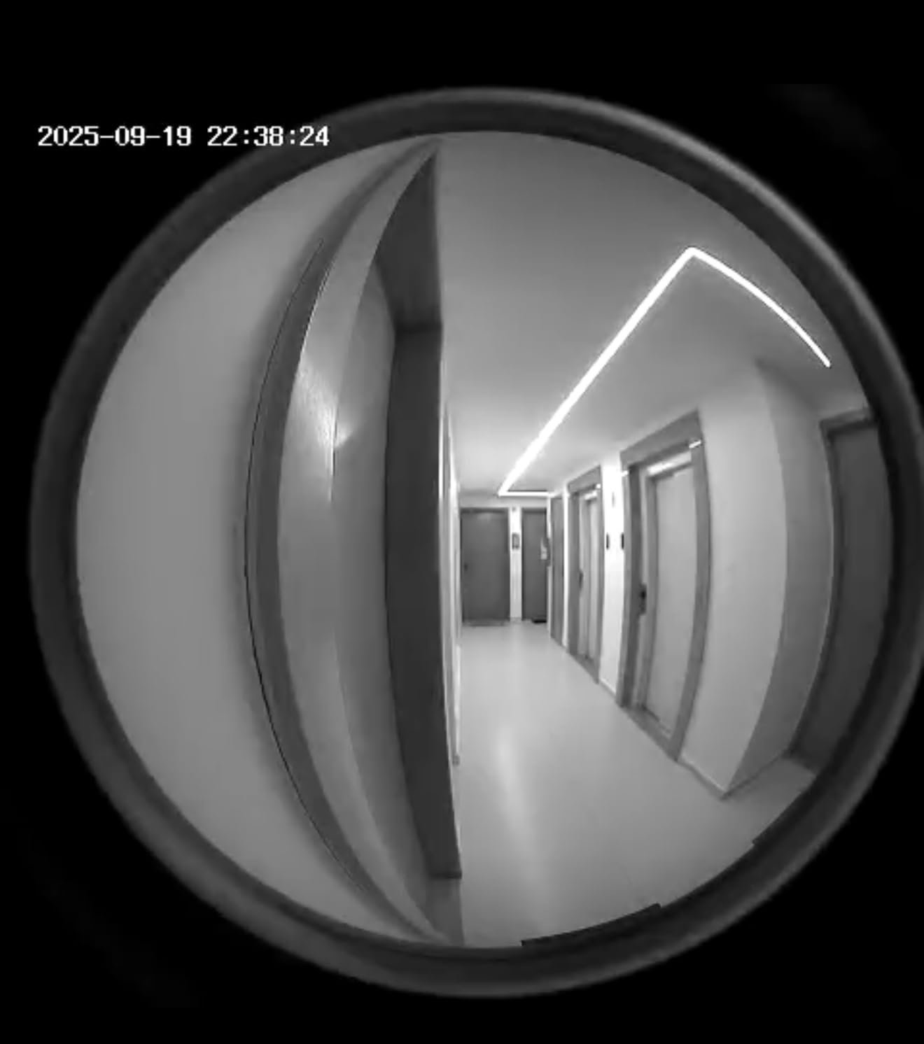 XTU Battery Doorbell, 180° Head-to-Toe Video, Live View with Two-Way Talk, No Monthly Fee, 2.4G Wi-Fi with Chime, Local/Cloud Storage, Human Detection, Compatible with Alexa & Google Home Customer Review XTU Battery Doorbell, 180° Head-to-Toe Video, Live View with Two-Way Talk, No Monthly Fee, 2.4G Wi-Fi with Chime, Local/Cloud Storage, Human Detection, Compatible with Alexa & Google Home - Customer Photo 2