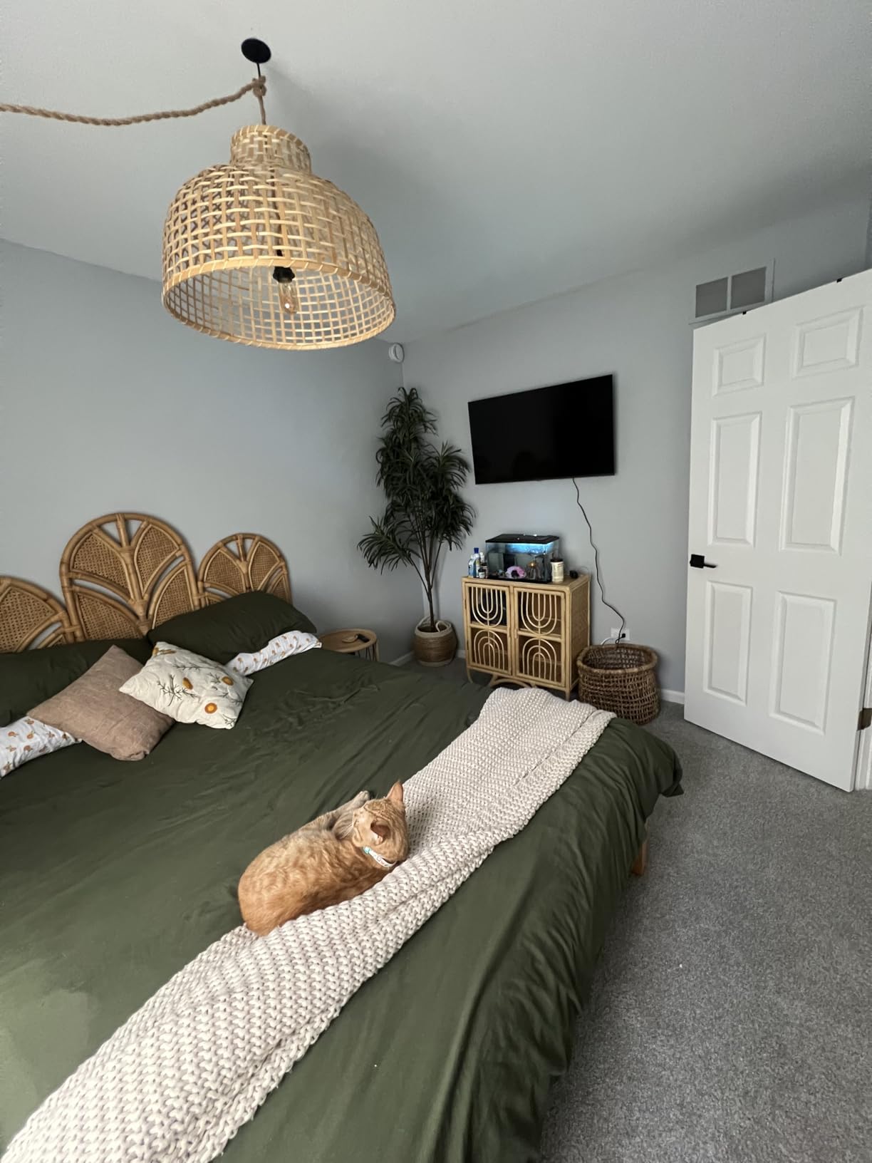 INSIGNIA 75-inch Class F50 Series LED 4K UHD Smart Fire TV with Alexa Voice Remote (NS-75F501NA26) - Customer Photo 5