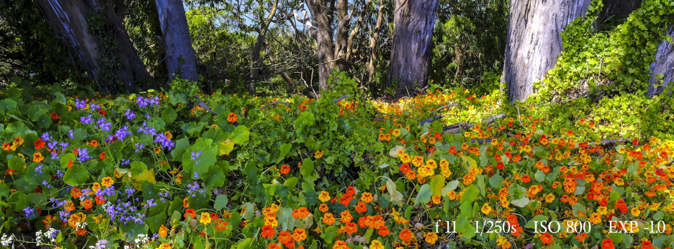 Fujifilm GFX100RF Medium Format Camera - Black Customer Review Fujifilm GFX100RF Medium Format Camera - Black - Customer Photo 2