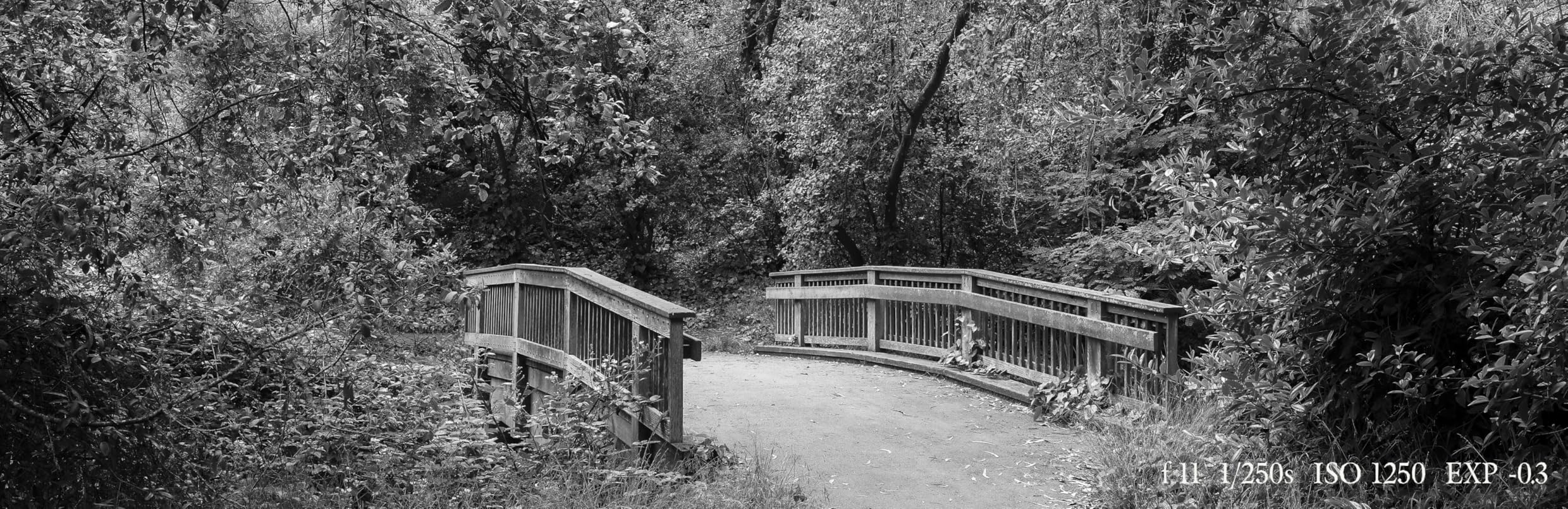 Fujifilm GFX100RF Medium Format Camera - Silver Customer Review Fujifilm GFX100RF Medium Format Camera - Silver - Customer Photo 1