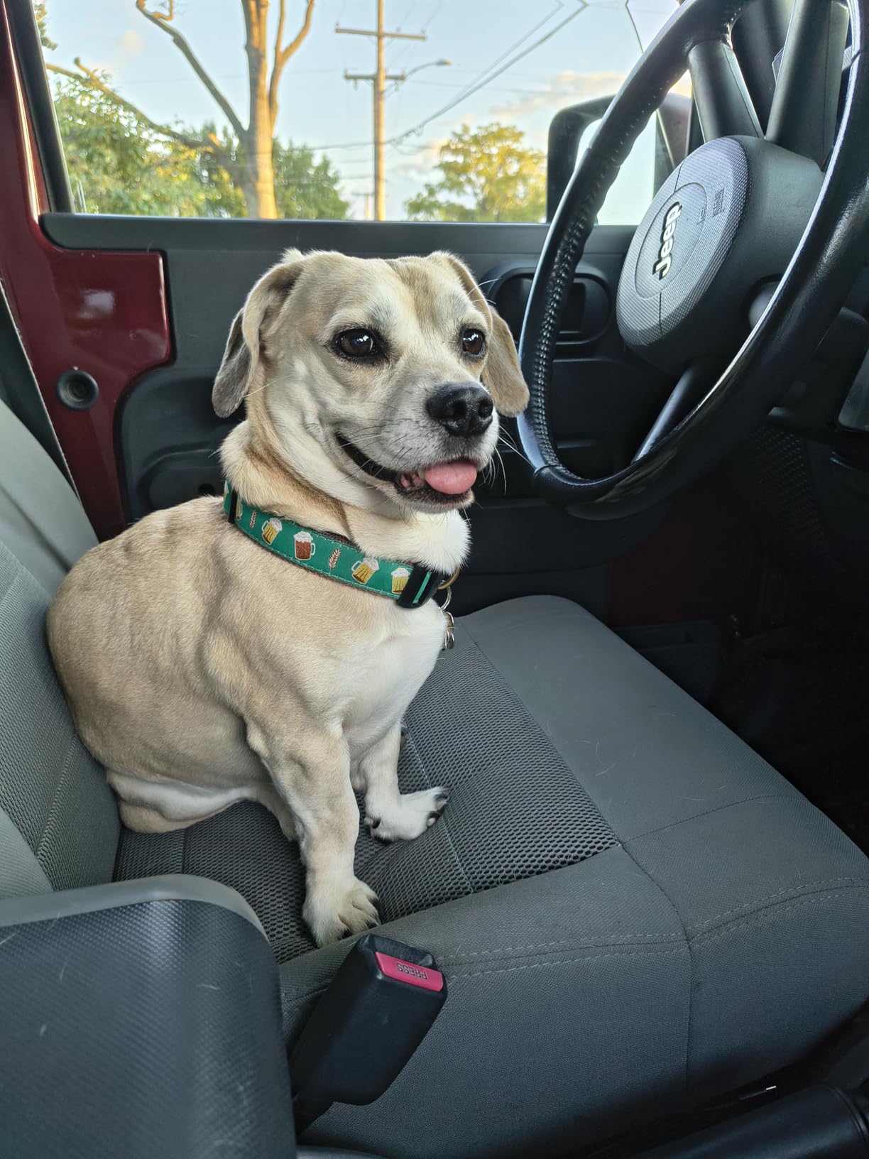 Motorola Edge 2025 | Unlocked | Made for US 8/256GB | 50MP Camera | Pantone Deep Forest - Customer Photo 2