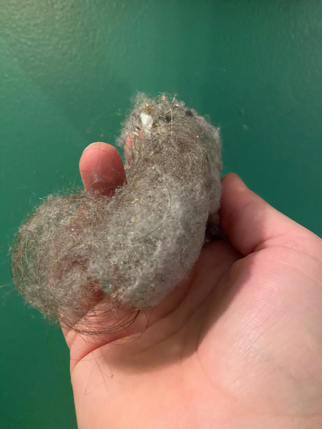 Shark Navigator Robot Vacuum and Self-Empty Base with Bagless 60-Day Capacity Self-Empty Base, SmartPath Navigation, Powerful Pet Hair Pickup, Anti-Hair Wrap, For Carpets & Hard Floors, Grey, RV2120AE - Customer Photo 2