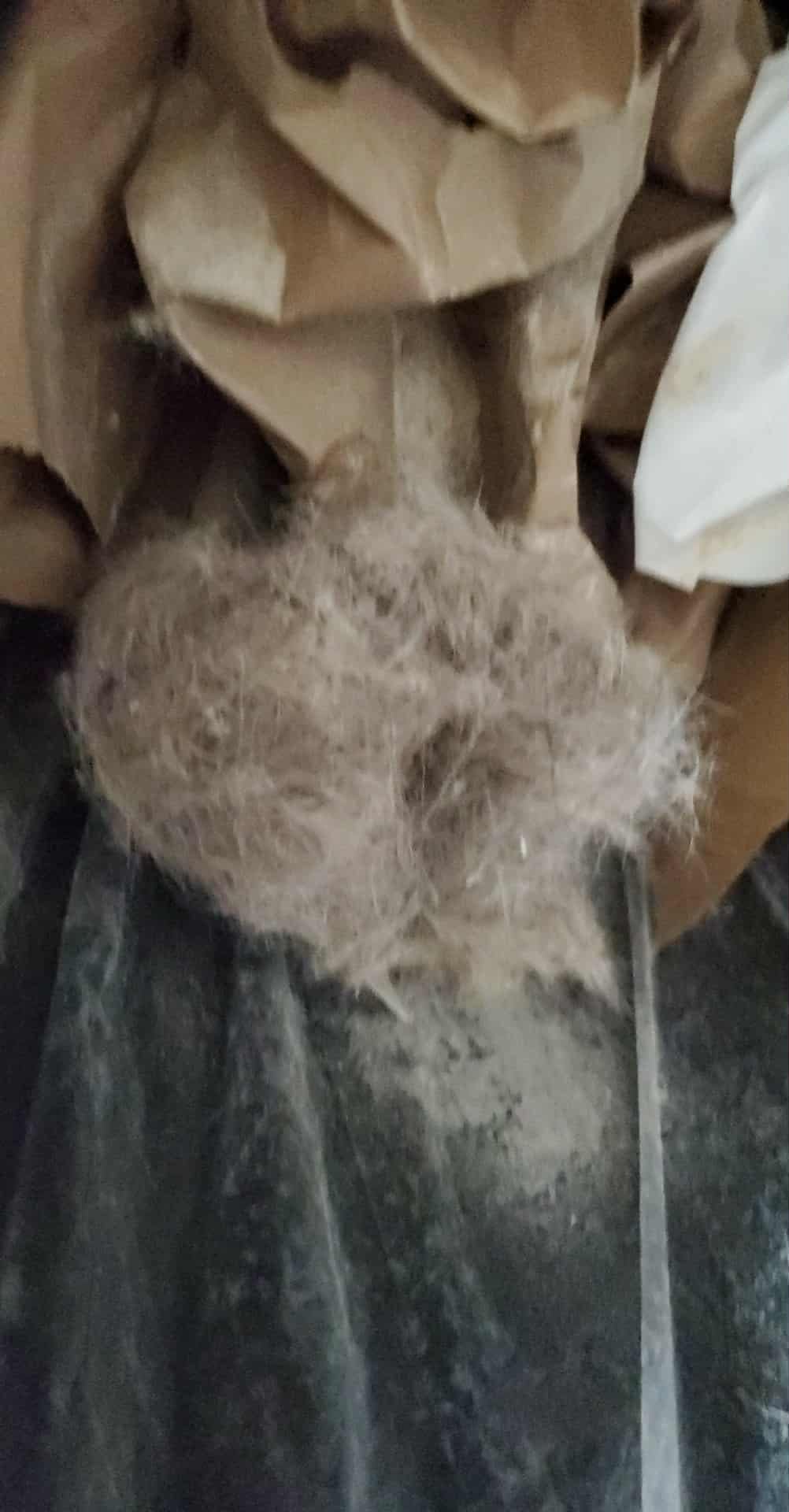 BISSELL PowerClean 200W Self-Standing Cordless Vacuum w/Tangle Free Brush Roll, Removeable Battery, Wall Mount, Upholstery Tool & Bright Headlights, 4173 - Customer Photo 2